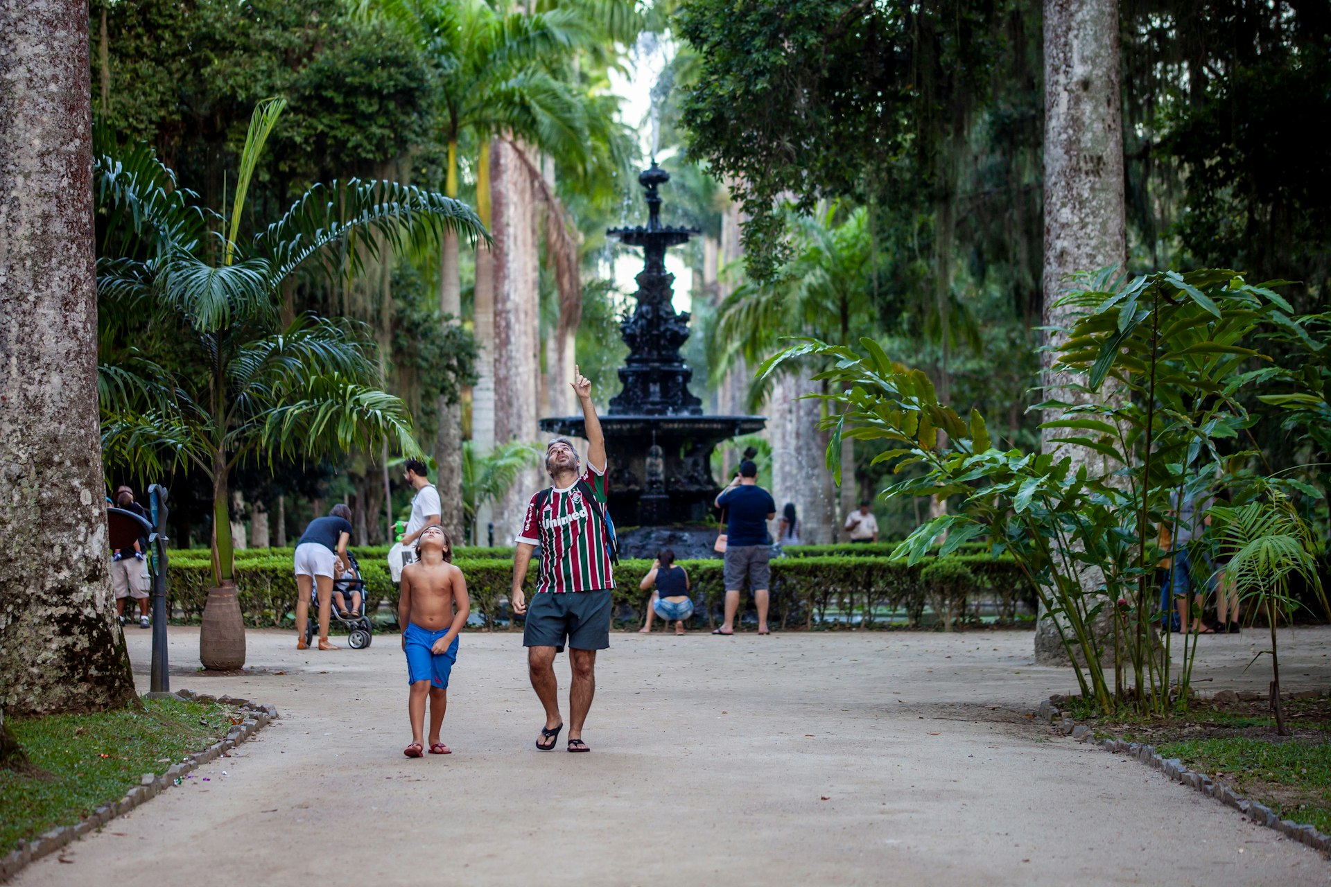 Father and son looking up and talking about the immensely tall royal palm trees in the botanical garden of Rio de Janeiro