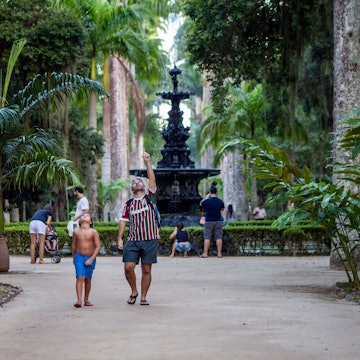 Rio de Janeiro, Brazil - May 3, 2015: Father and son looking up and talking about the immensely tall royal palm trees in the botanical garden of Rio de Janeiro; Shutterstock ID 1164884020; full: 65050; gl: Online Editorial; netsuite: Rio with kids; your: Bailey Freeman
1164884020