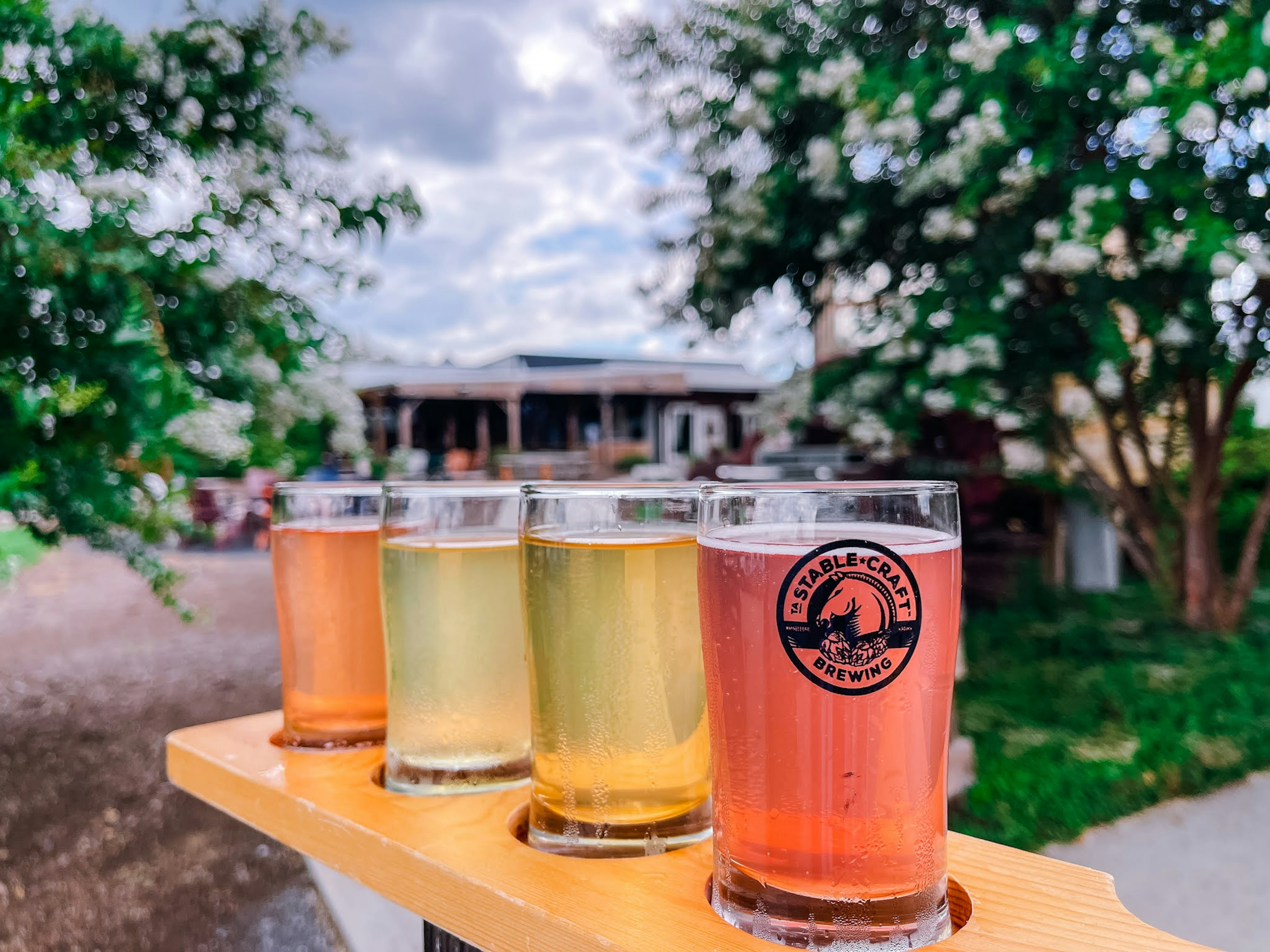 A flight of four glasses of cider from Stable Craft brewing in Virginia