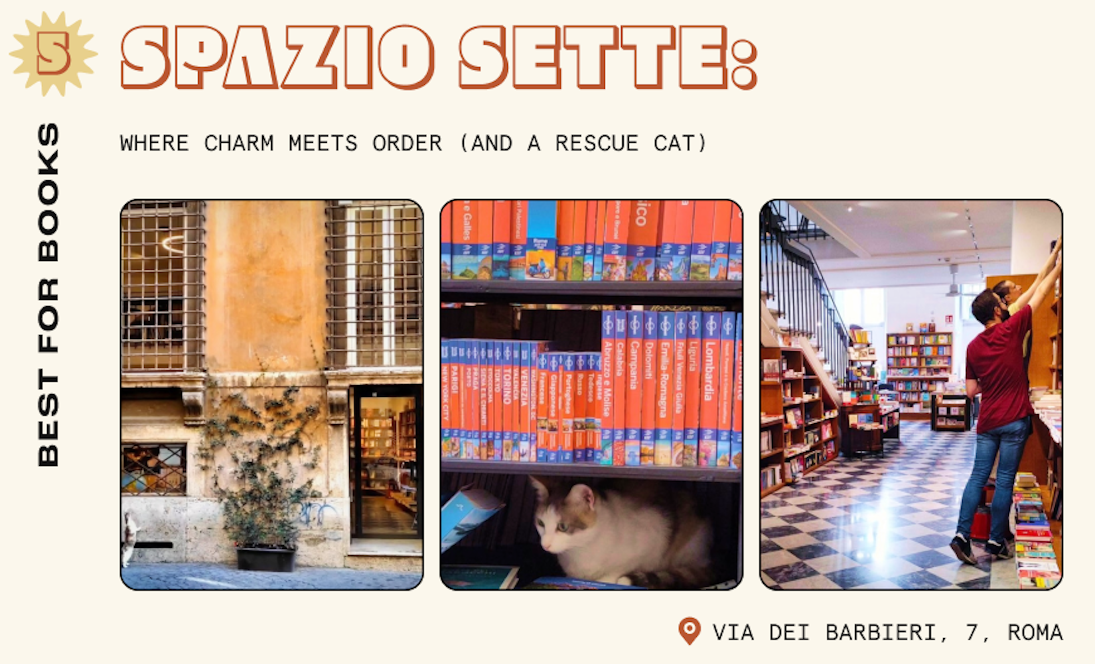 Close-up shots of a bookshop in Rome, featuring staff stocking bookshelves, a cat asleep under a shelf of travel books and an exterior shot of the store