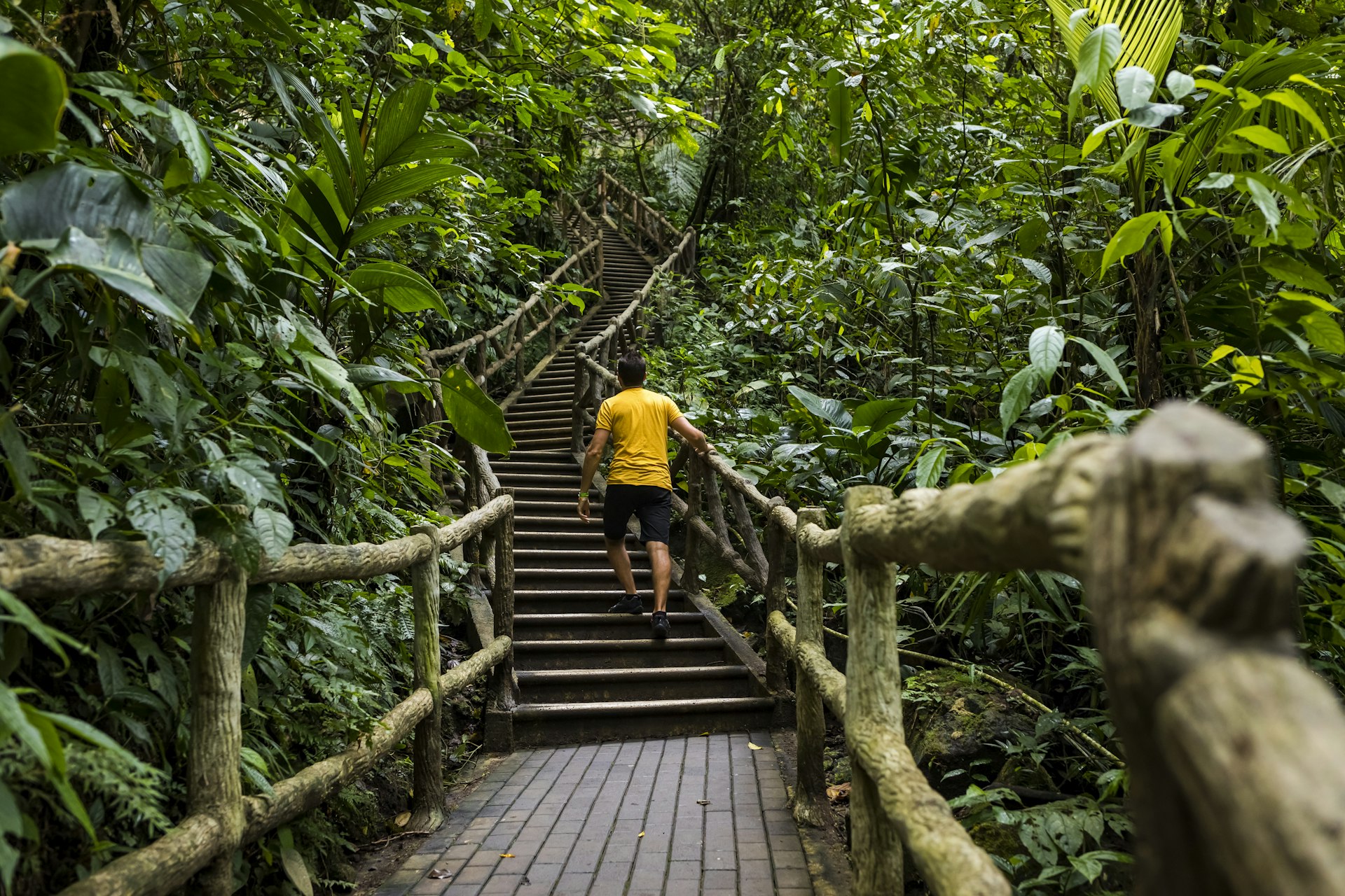Hiking the Costa Rican jungle