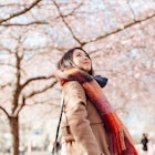 Young woman walking under cherry blossoms trees in a park in Japan