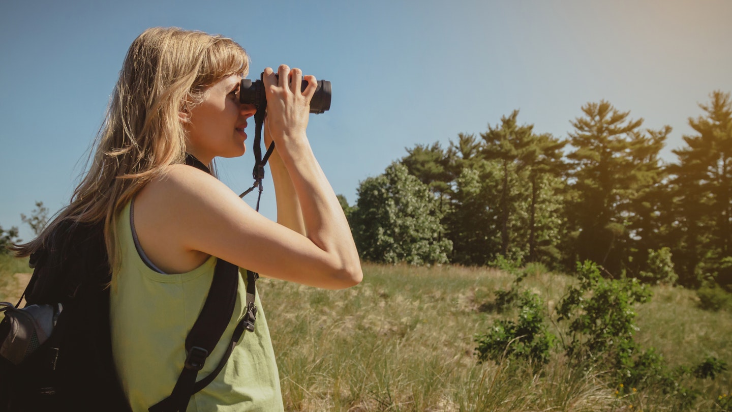 Young woman bird watching with binoculars at Indiana Dunes State Park.
1325470474