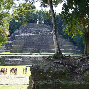 Wide shot of tourists dwarfed by the Temple of the Jaguar Mayan pyramid in Lamanai, Belize
1481511269