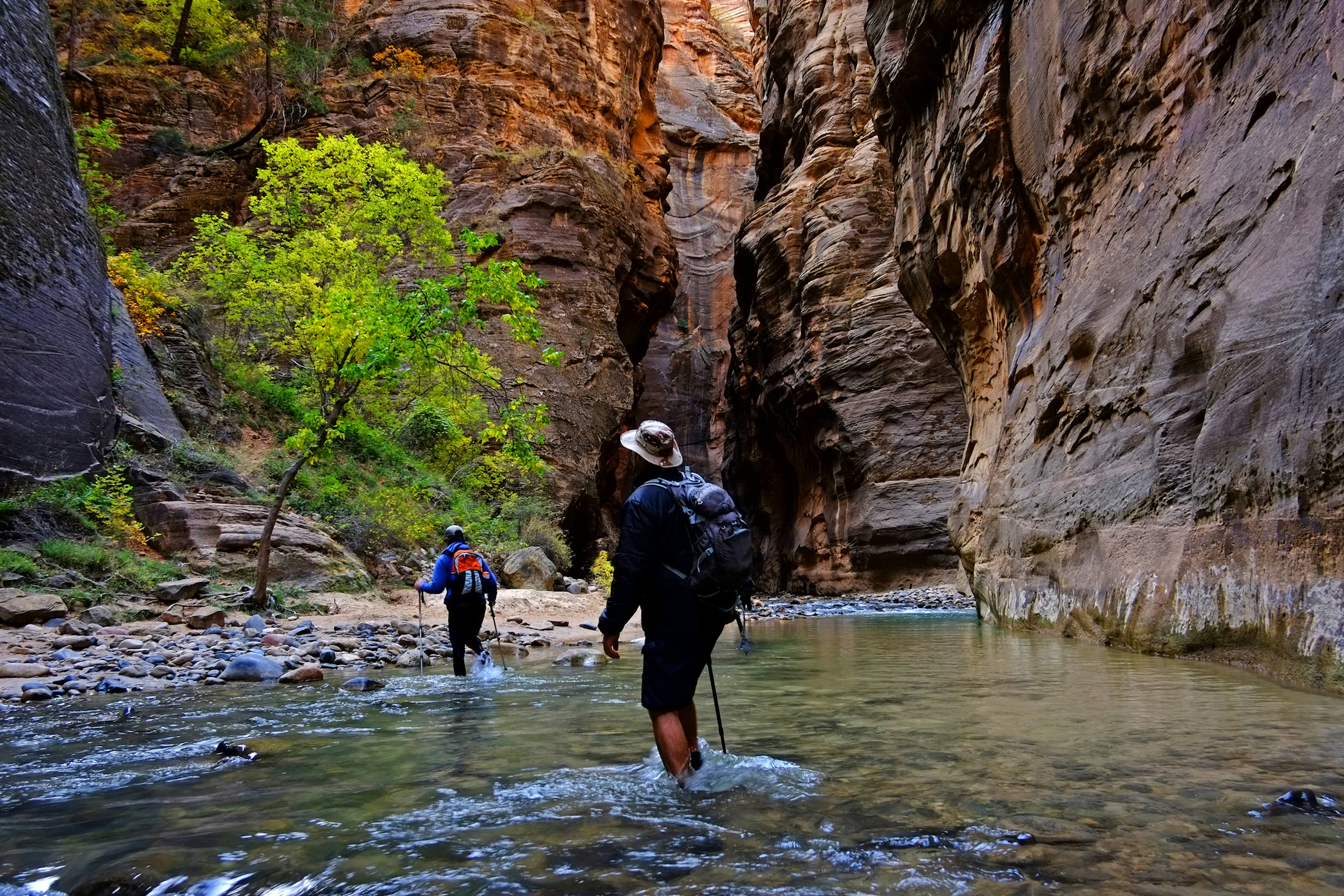 Several hikers walk through The Narrows, formed by the Virgin River flowing through the red rock canyon in New River Gorge National Park and Preserve