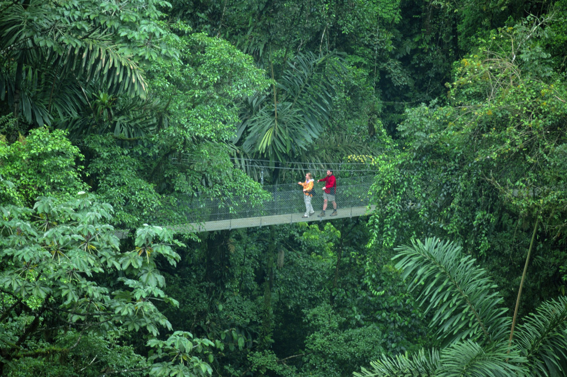Two people walking across a hanging bridge in Arenal, Costa Rica