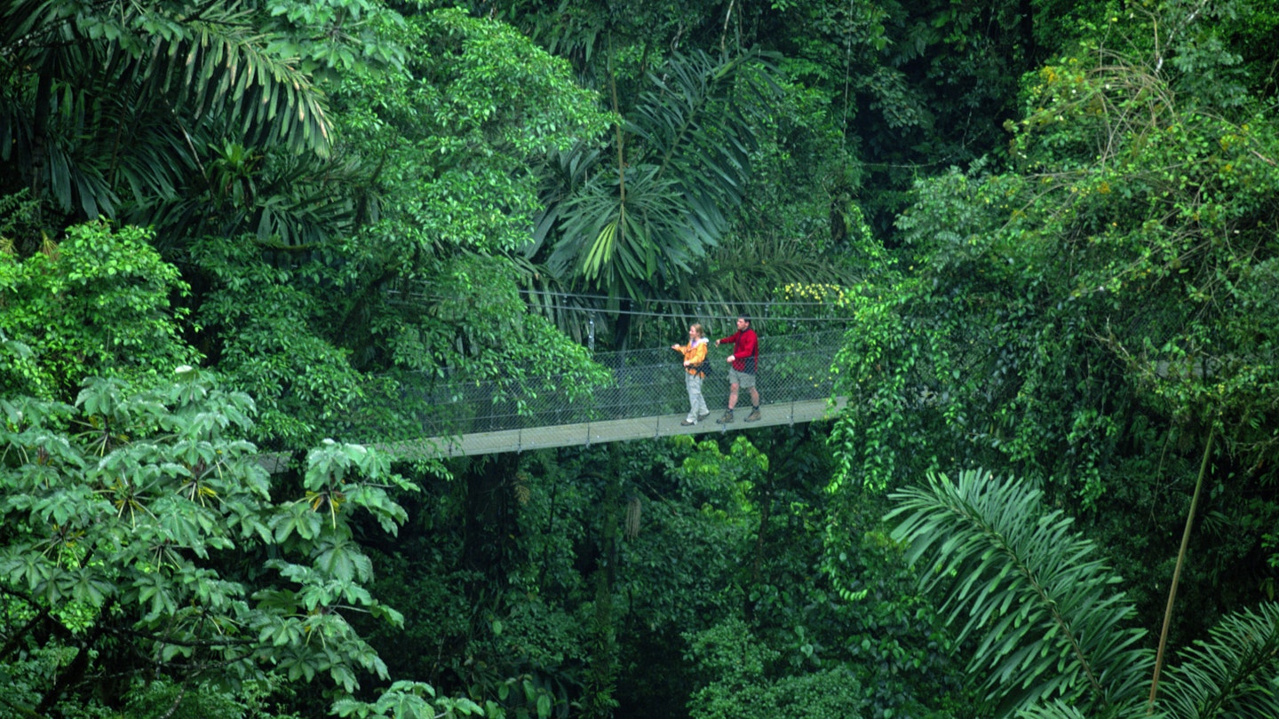 200143319-001
couple, hiking, jungle, canopy
Costa Rica, La Fortuna, Arenal Hanging Bridges