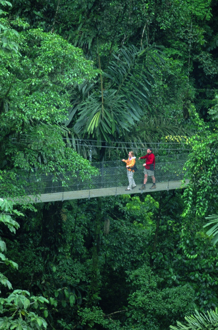 200143319-001
couple, hiking, jungle, canopy
Costa Rica, La Fortuna, Arenal Hanging Bridges