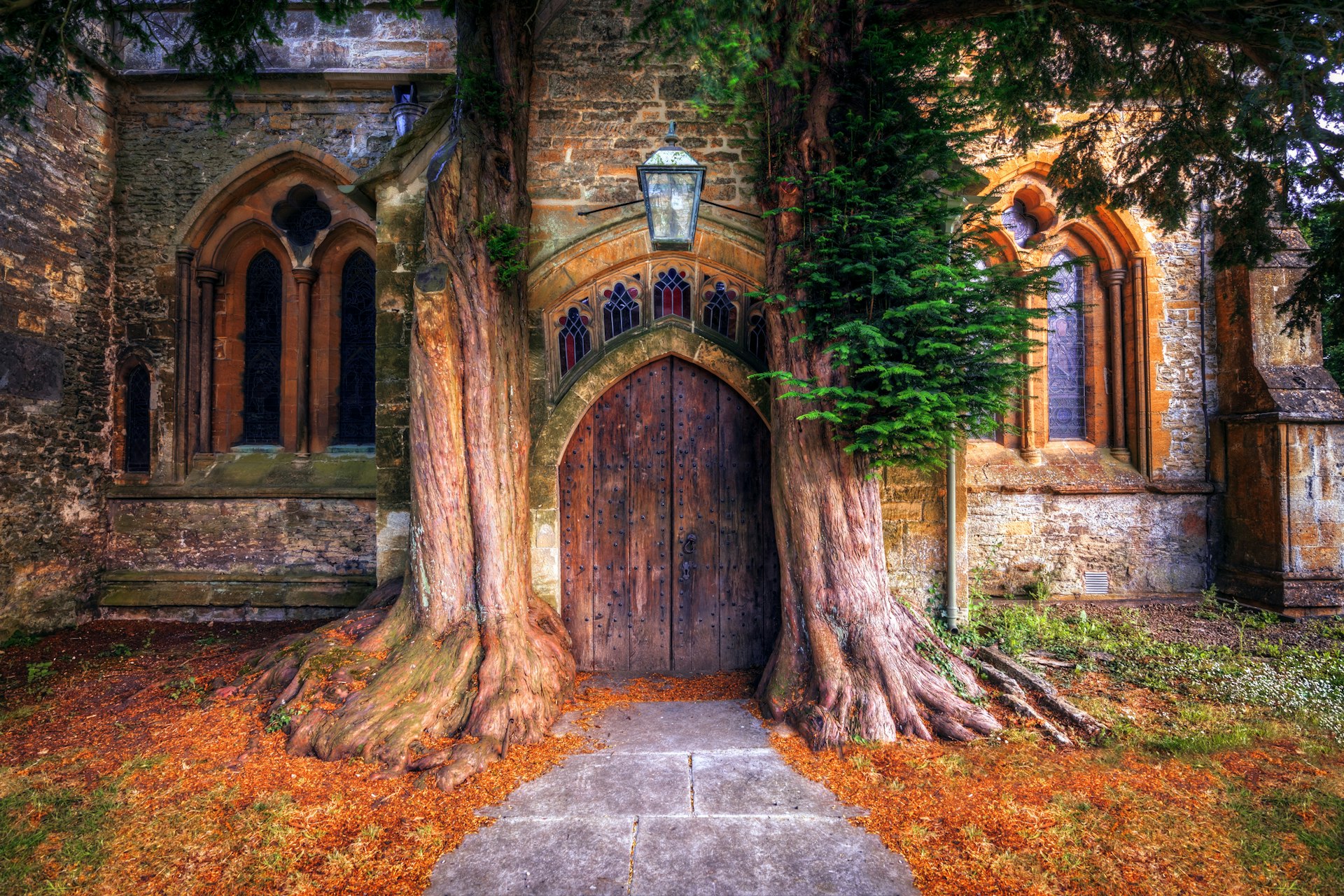 A church doorway framed by the trunks of two yew trees