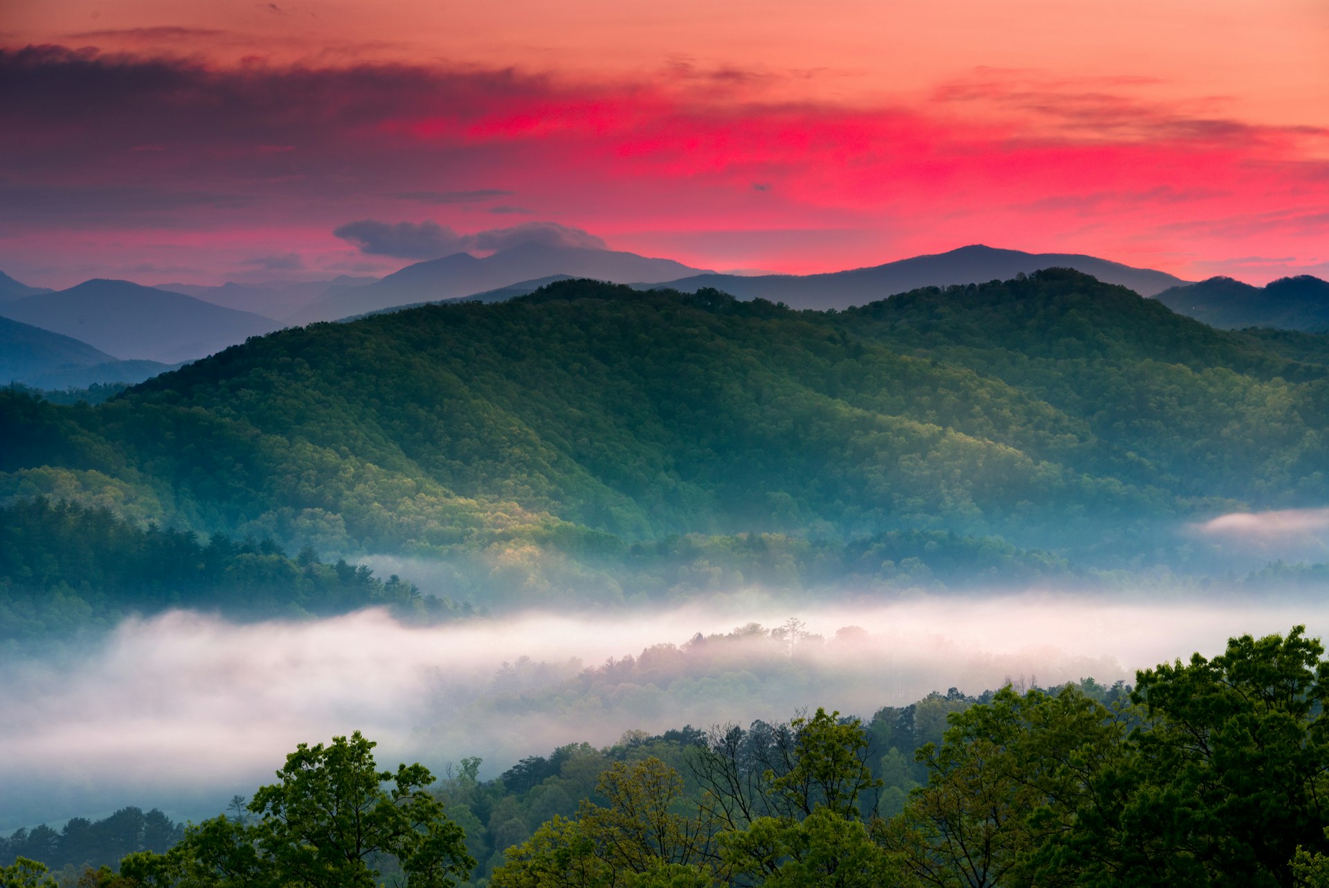 Spring sunrise view of layered mist in Great Smoky Mountains National Park