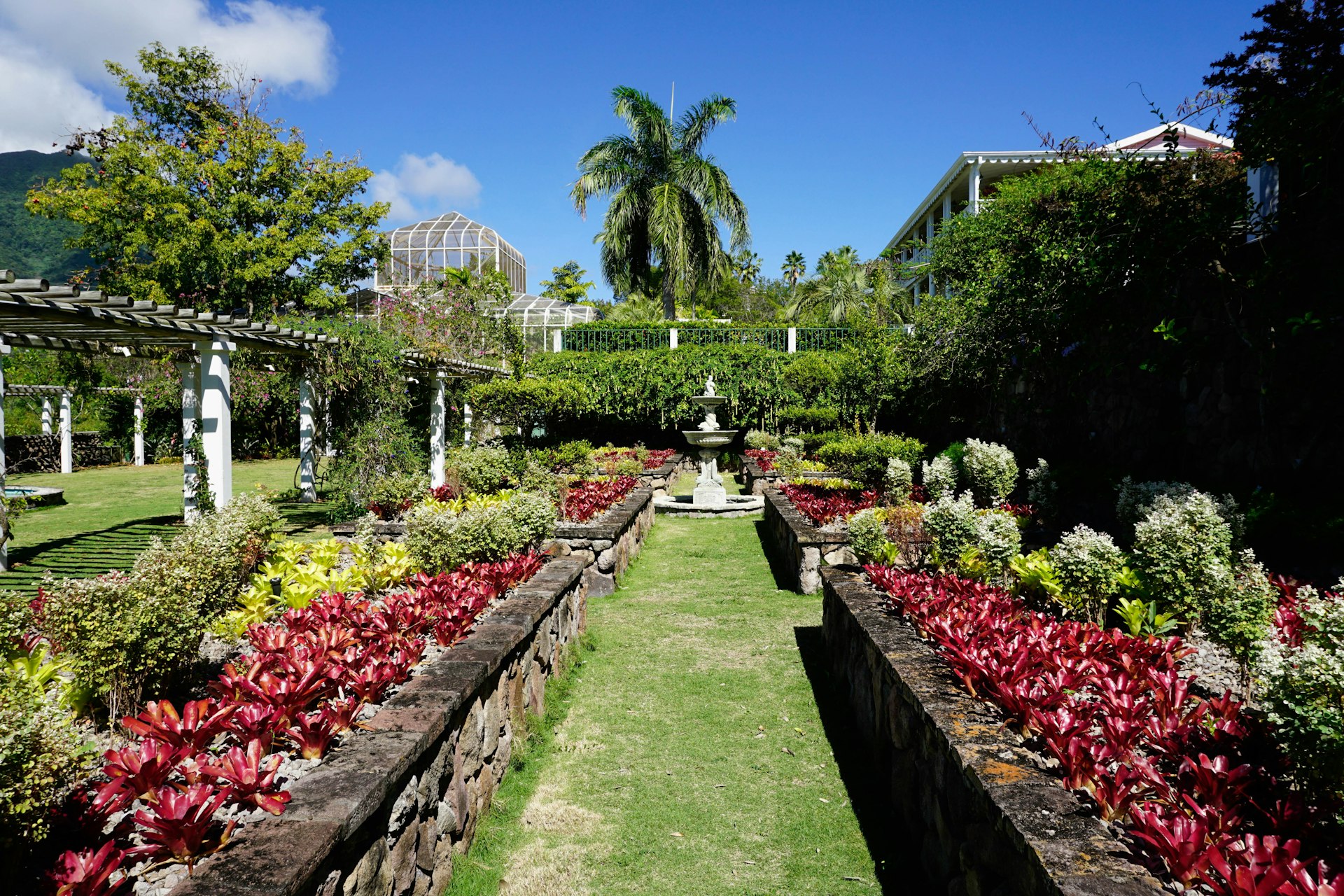 A leafy lane in Nevis' Botanical Garden