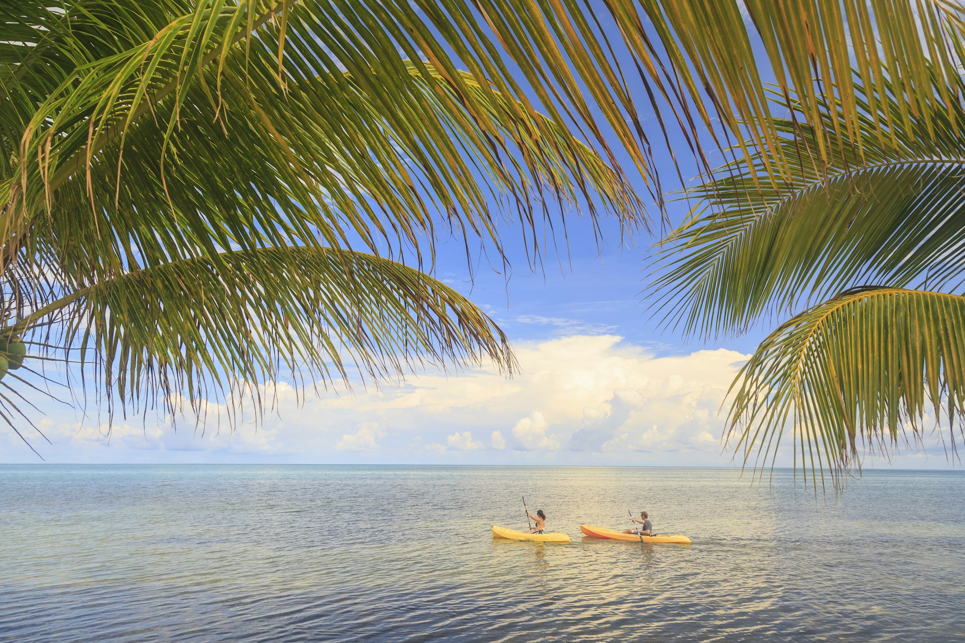 Two people kayak on calm seas in Belize, shot framed with palm fronds