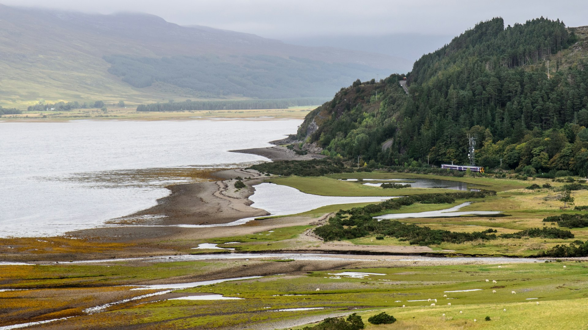 A Scotrail Class 158 diesel passenger train crosses the glacial delta estuary of the River Attadale as it winds along the Kyle Line railway on the coast of Loch Carron, an inlet of the Atlantic Ocean in the West Highlands of Scotland.