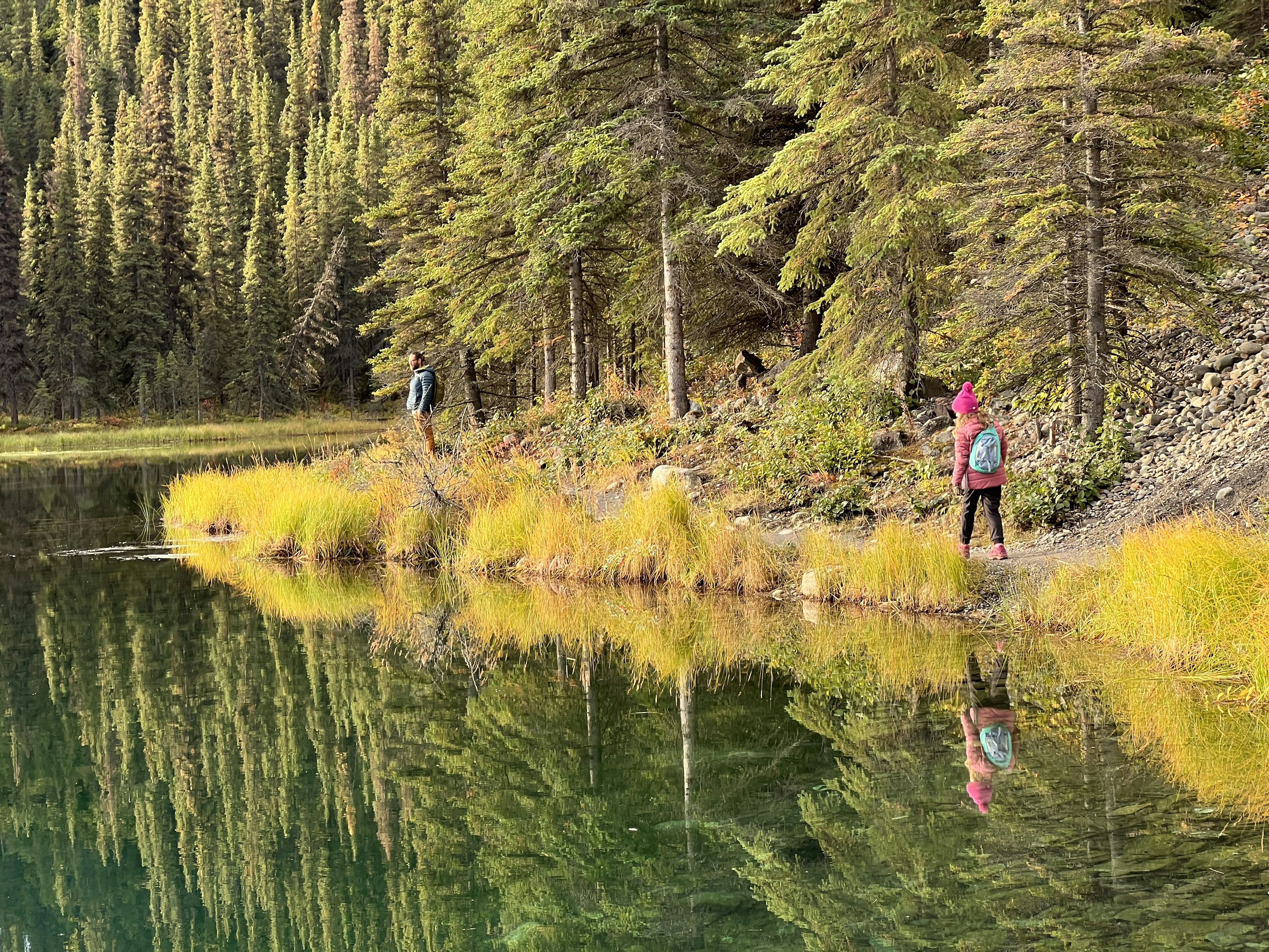 A woman in a bobble hat walks around the edge of a lake in Denali with trees surrounding the edges