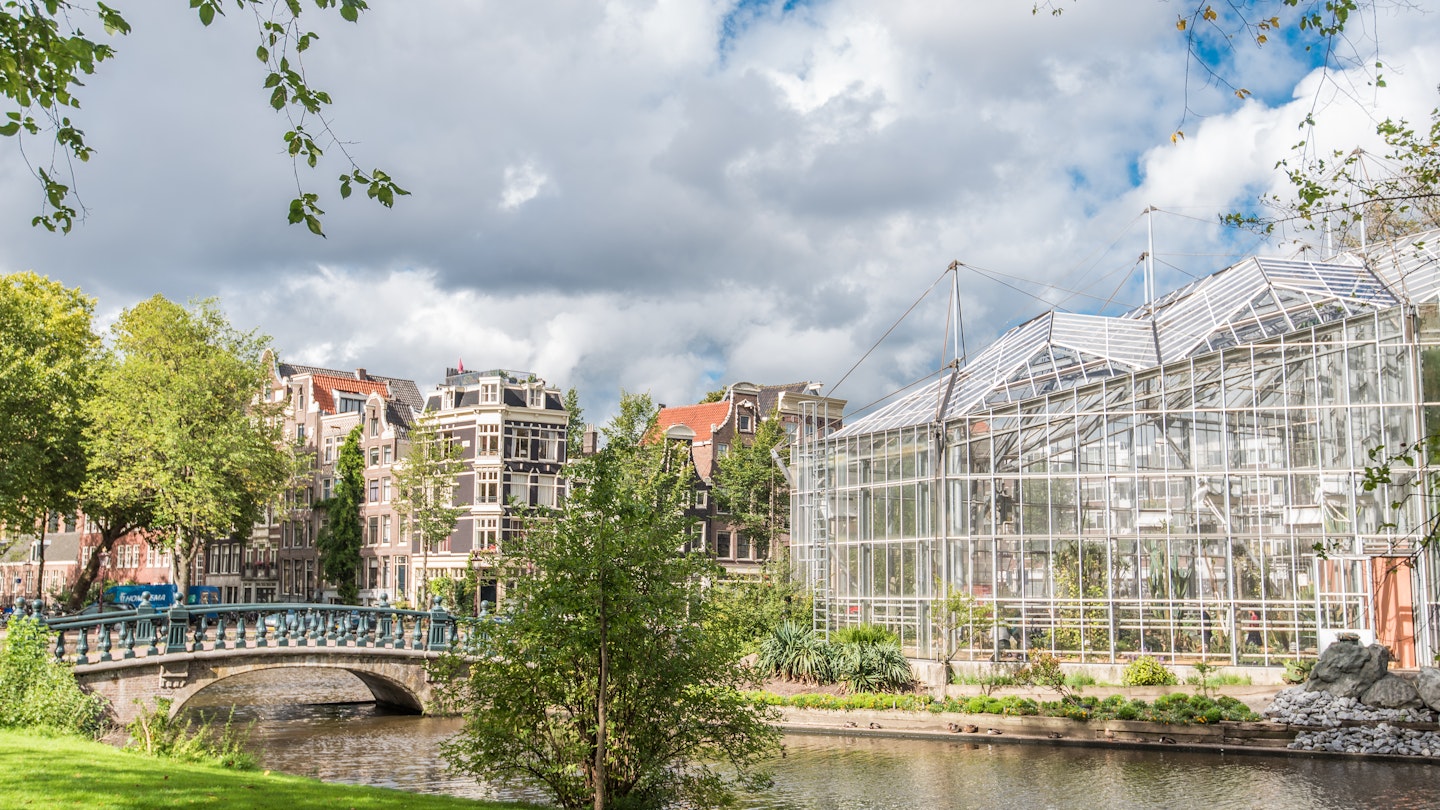 De Hortus, botanical garden, bridge, cloud, de Plantage, nature, tree, Grass, Outdoors, Plant