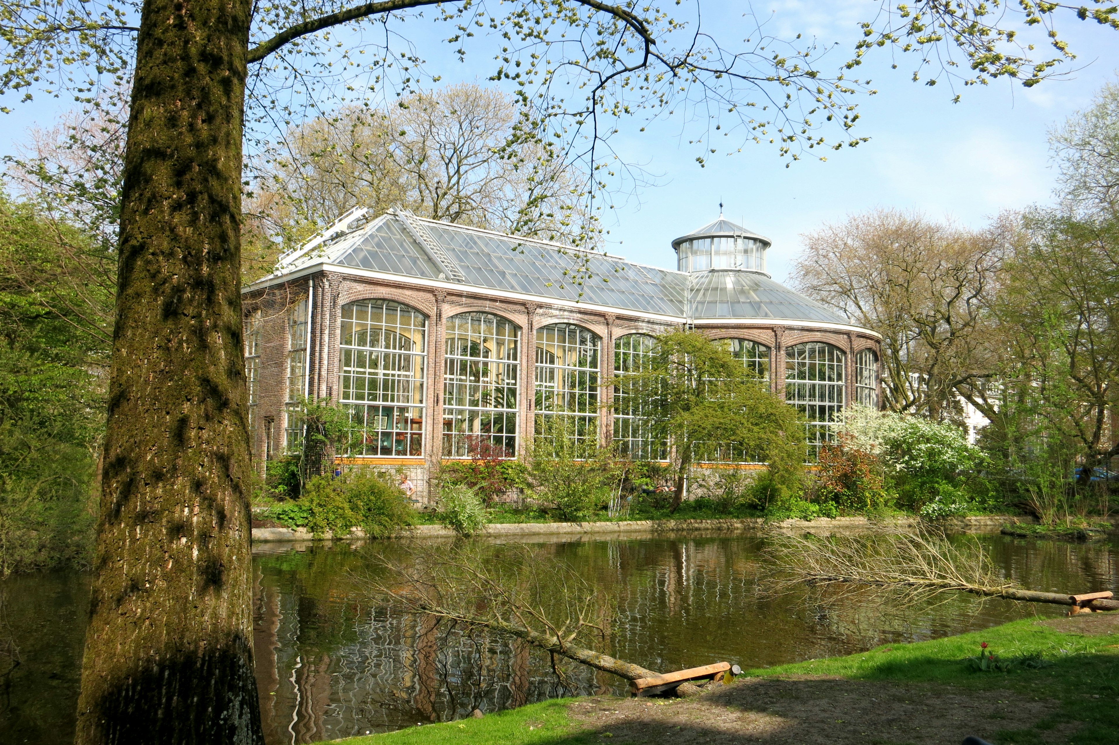 HortusBotanicusOutside.jpg