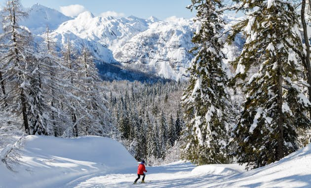 Skiing in the mountains.