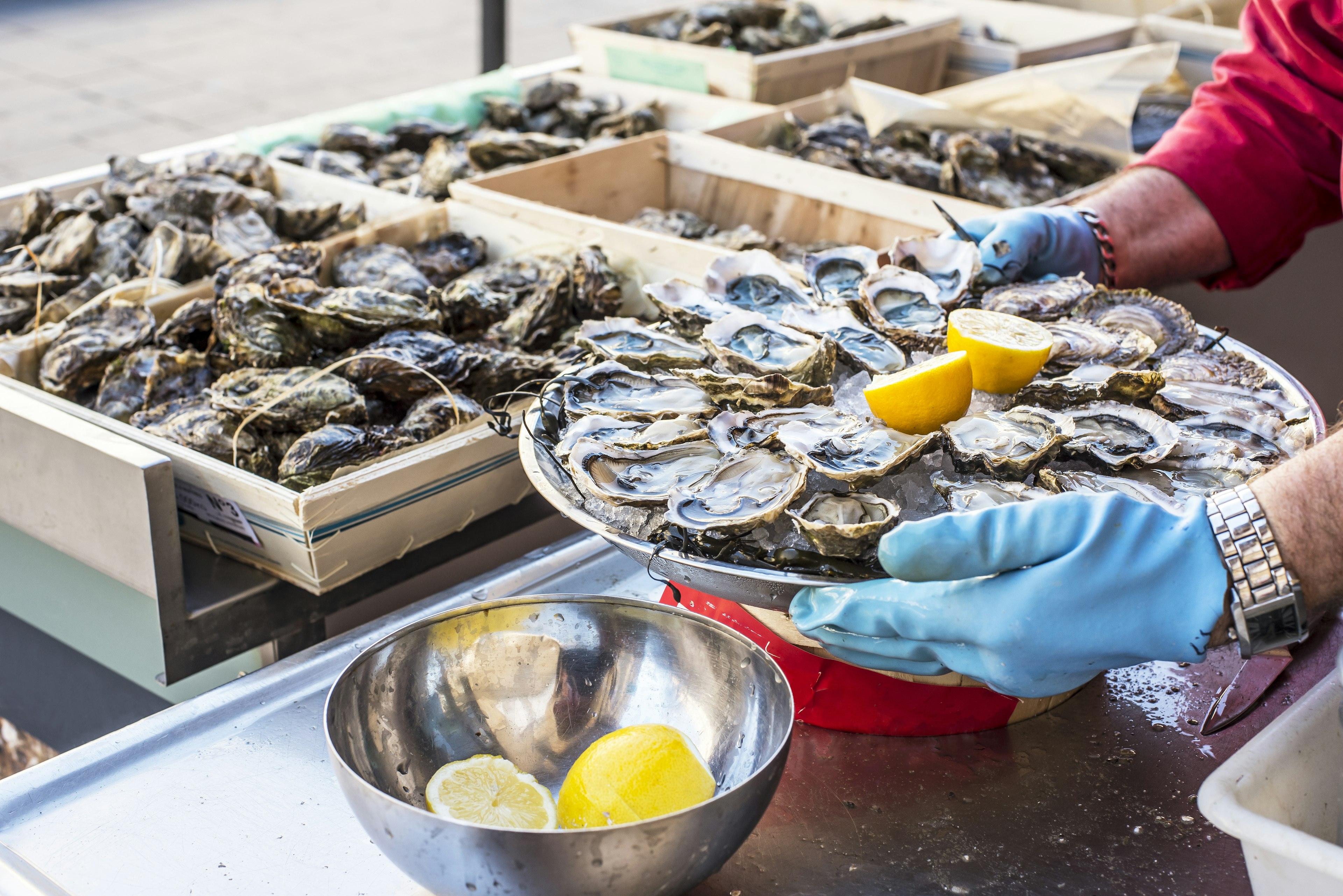 Tray of opened fresh oysters on half shell on ice with lemon in a street of Bordeaux,