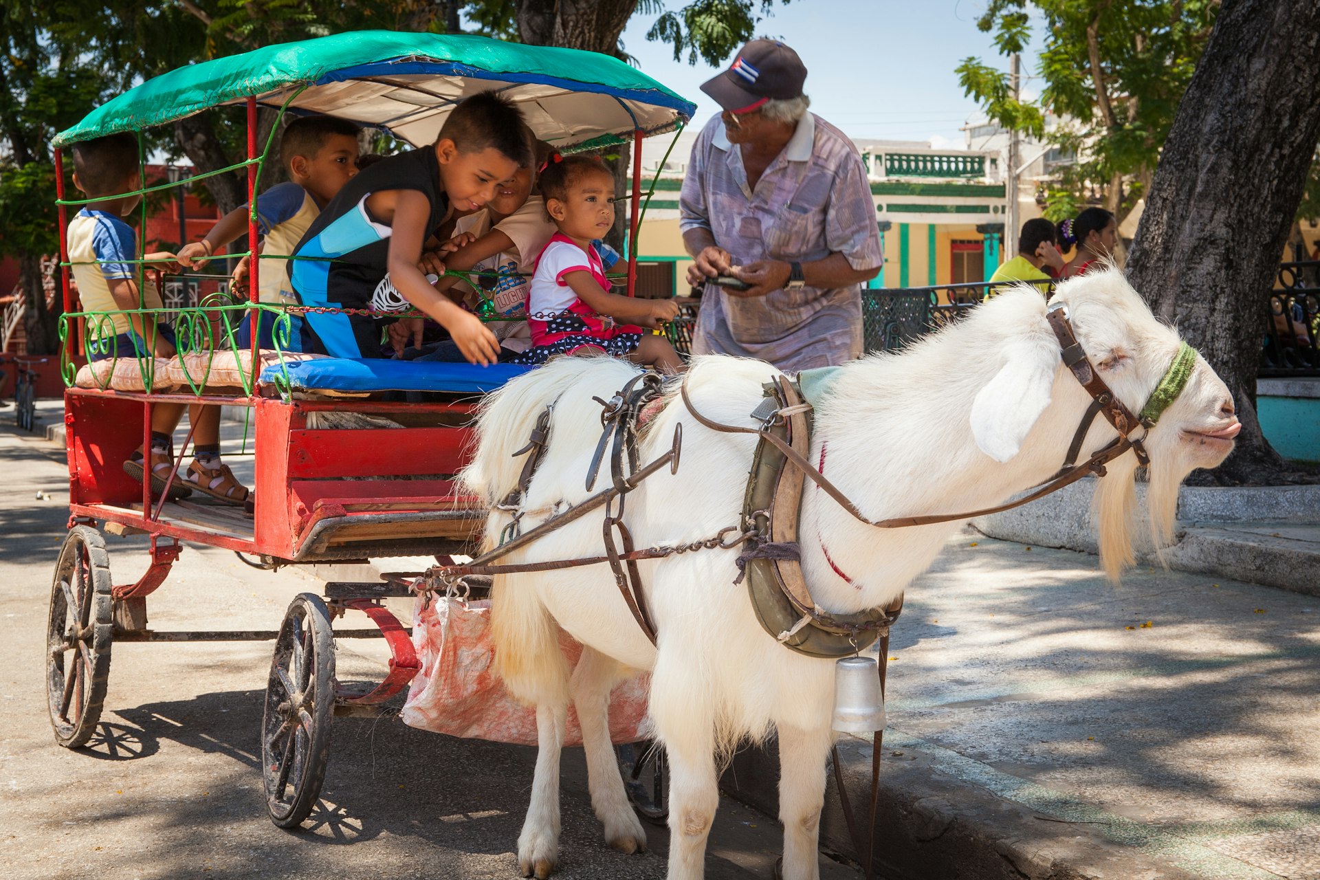 Kids enjoying a goat ride in Parque Cespedes, Bayamo, Cuba