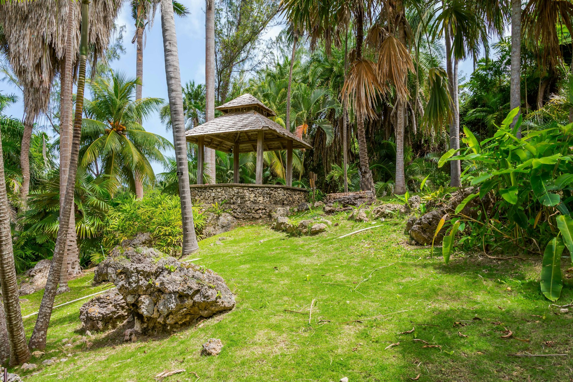 A pagoda sits on top of a steep rock-and-grass bank amid palm trees at Andromeda Botanic Gardens, Barbados