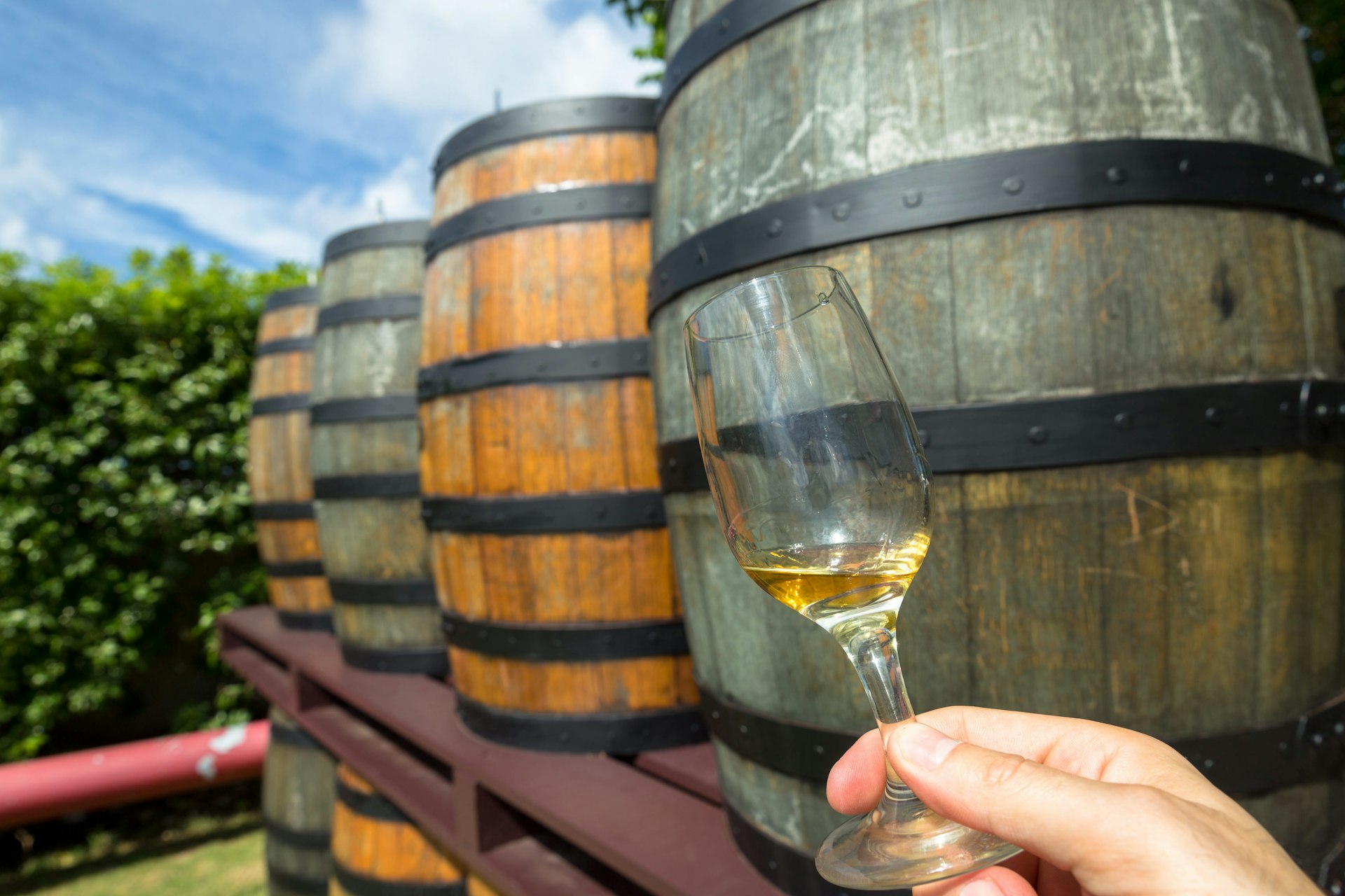 A hand holds out a glass of rum in front of some wooden barrels