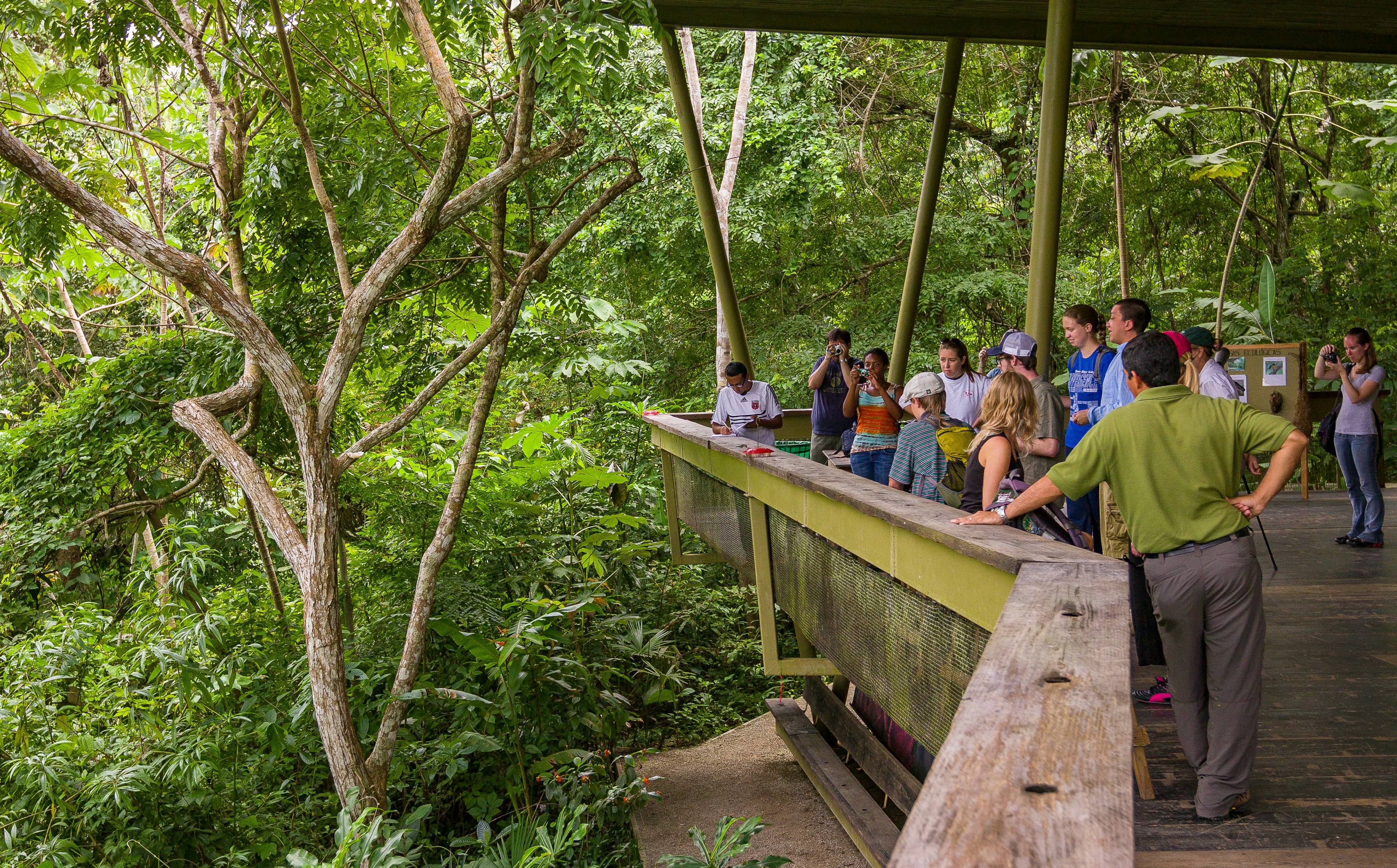 Tourists at Rainforest Discovery Center at Pipeline Road, SOBERANIA NATIONAL PARK, PANAMA