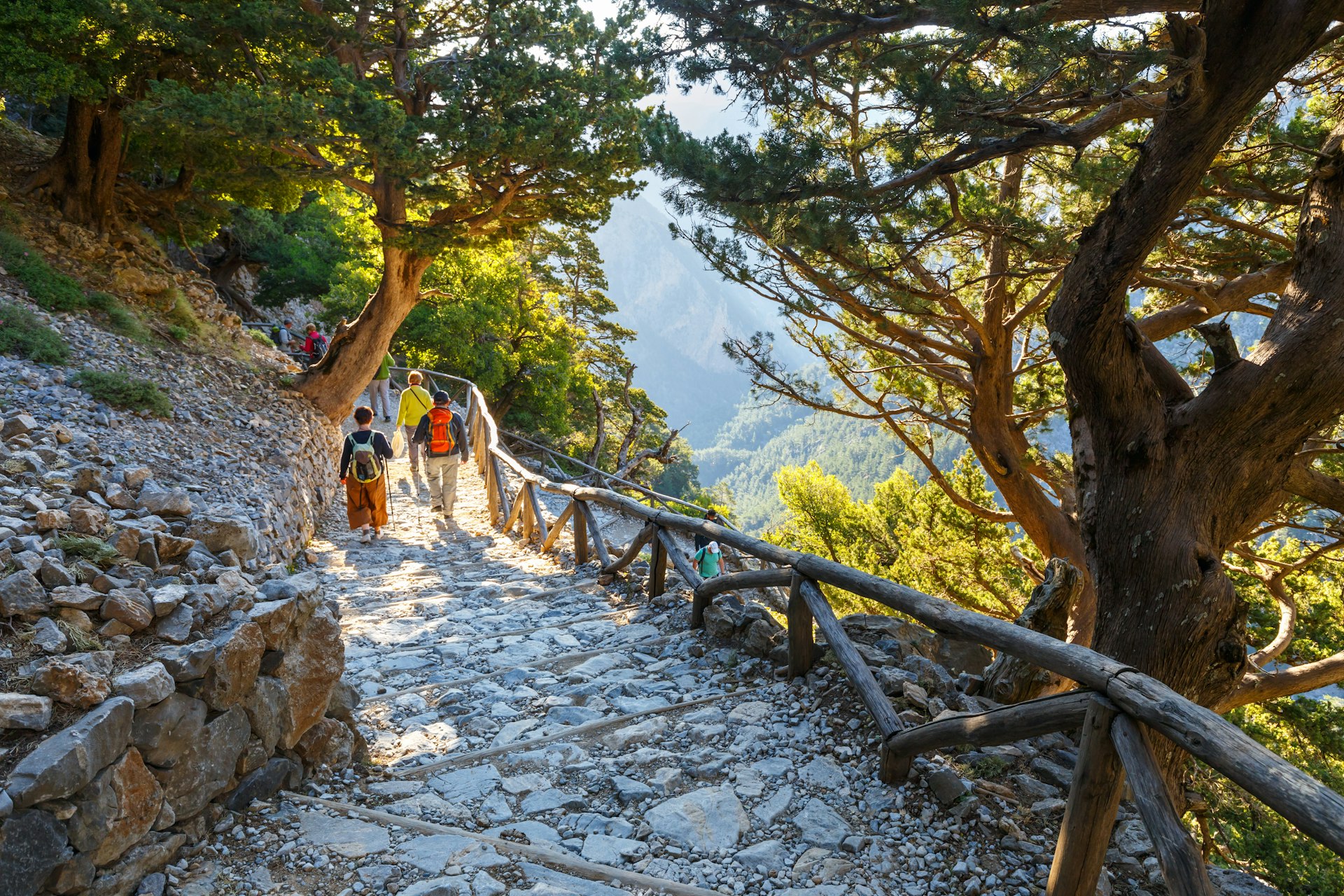 Hikers follow a stone-paved path down a hillside lined with trees heading towards a gorge