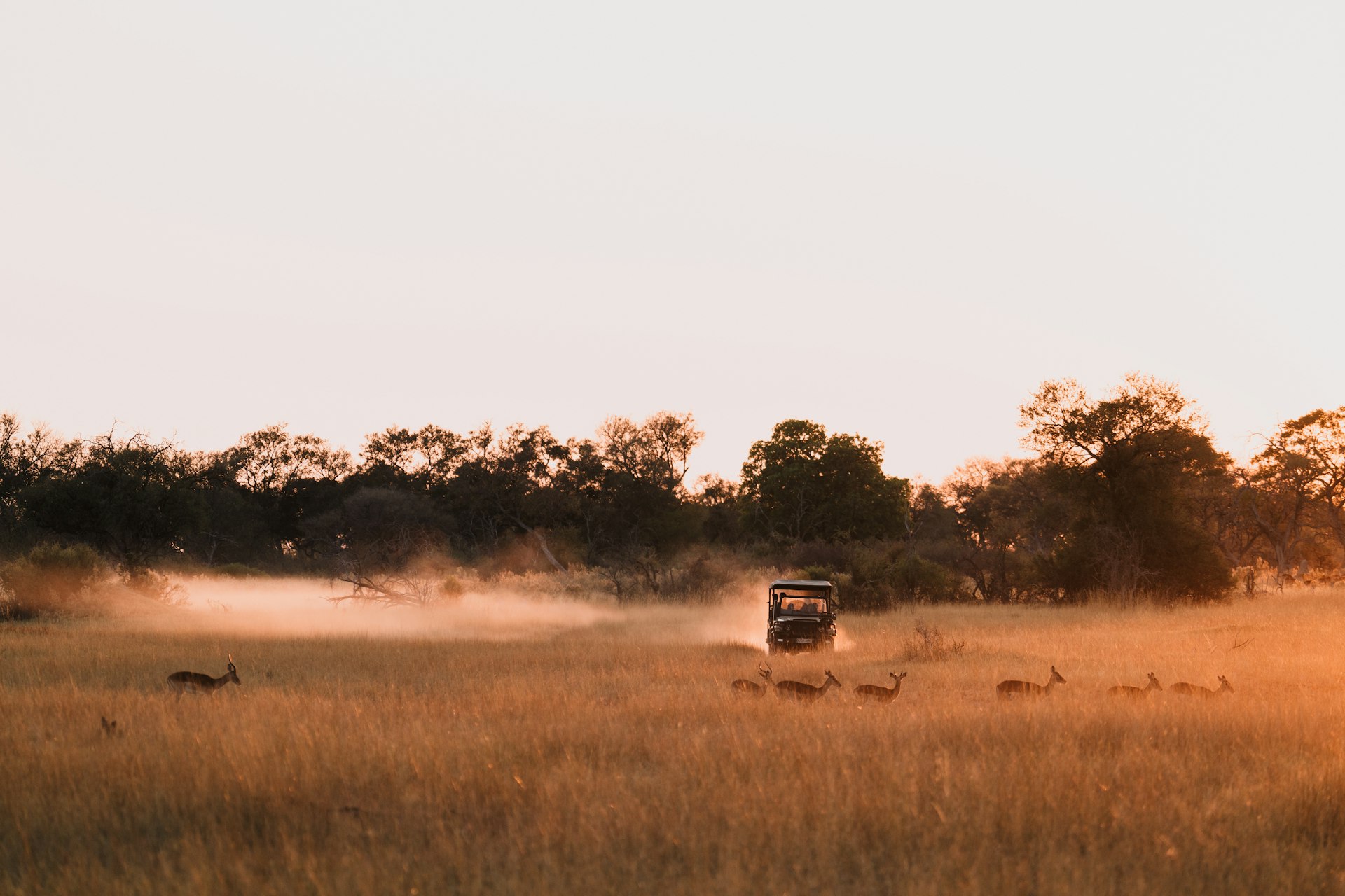 A safari truck drives through a deserted landscape in Botswana