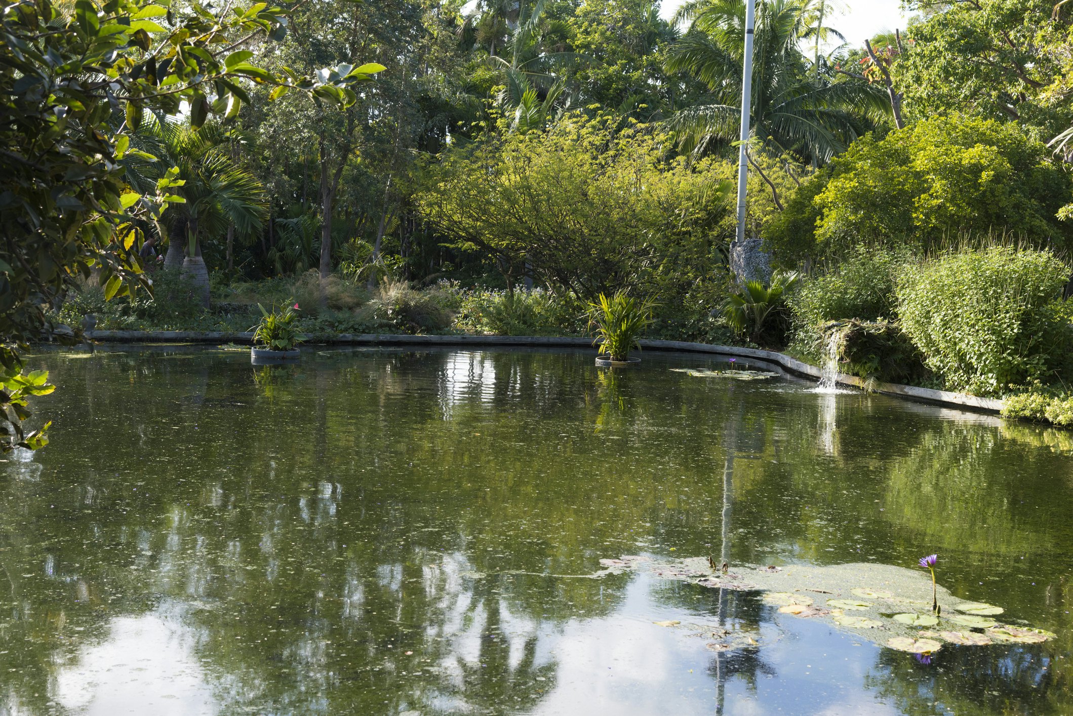 The Miami Beach Botanical Garden
1007098088
the miami beach botanical garden, garden