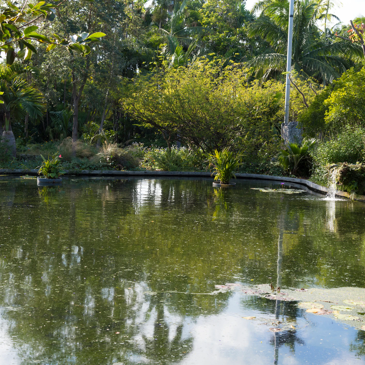The Miami Beach Botanical Garden
1007098088
the miami beach botanical garden, garden