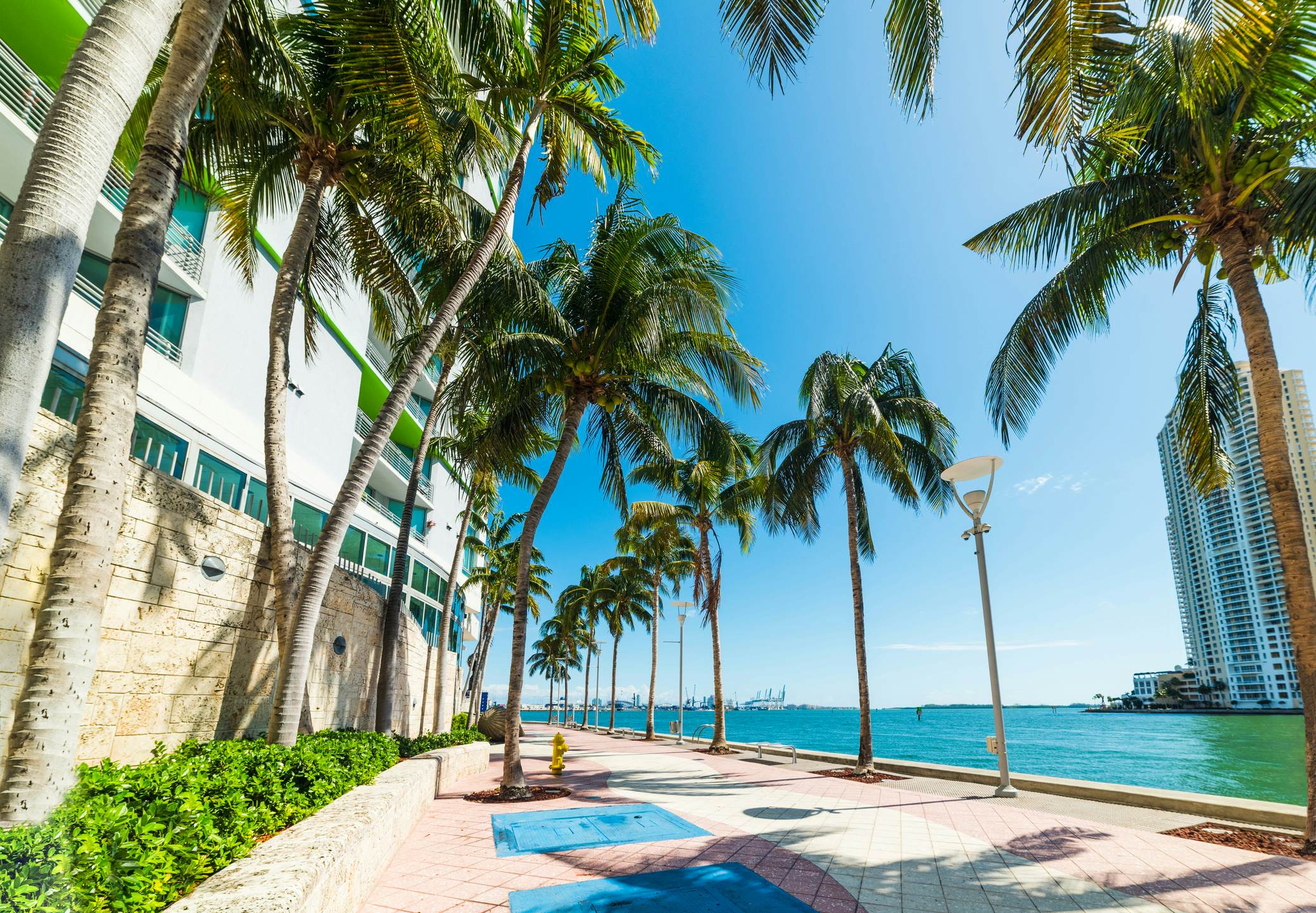 Miami river walk under a shining sun. Southern Florida, USA
1145048065
urban, tropics, tropical, structure, skyline, scene, romantic, riverwalk, palm, outdoor, ocean, nautical, lights, florida, evening, downtown, dock, commercial, colorful, clouds, built, buildings, beautiful, bay, america