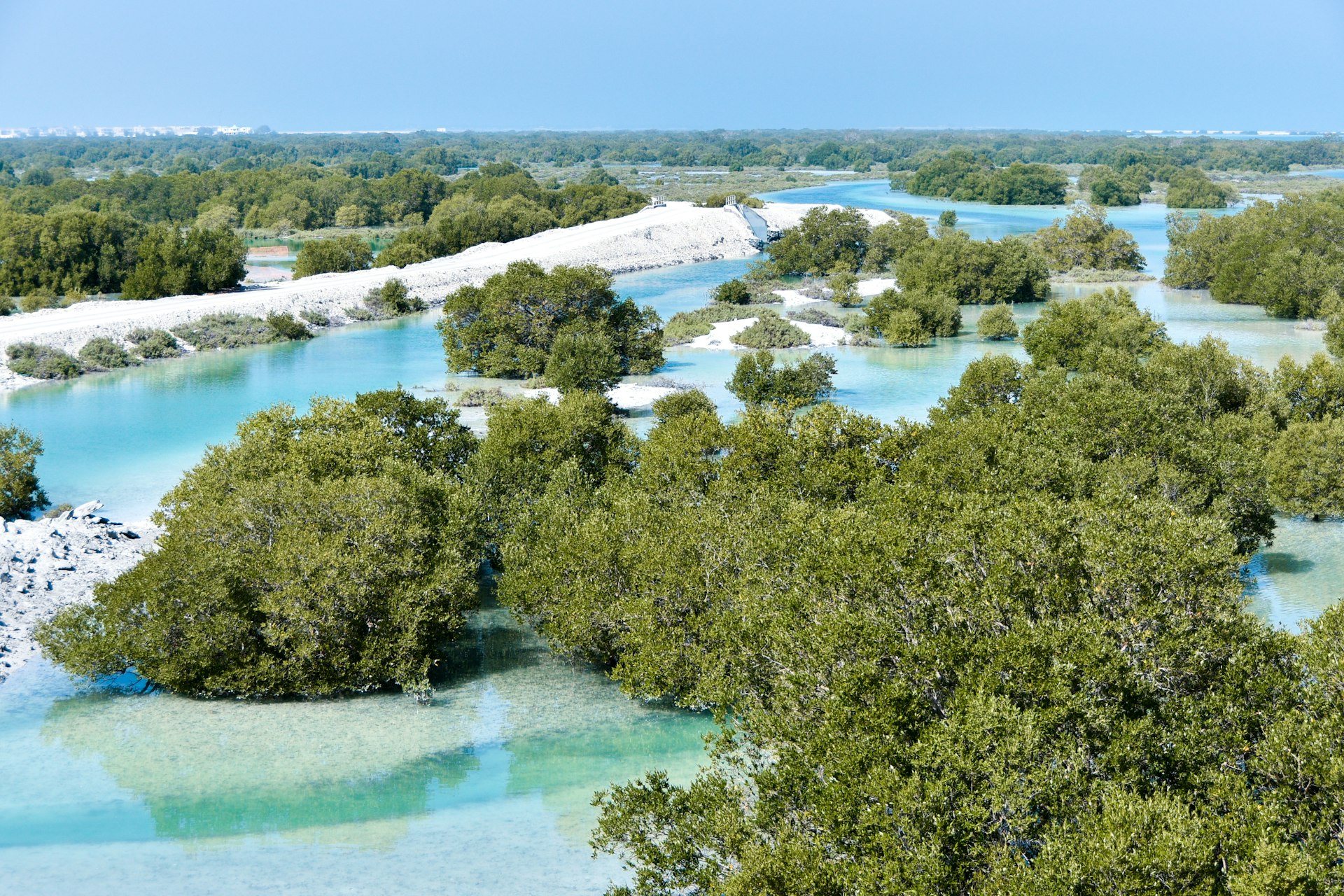 An aerial view of mangrove forests in Abu Dhabi