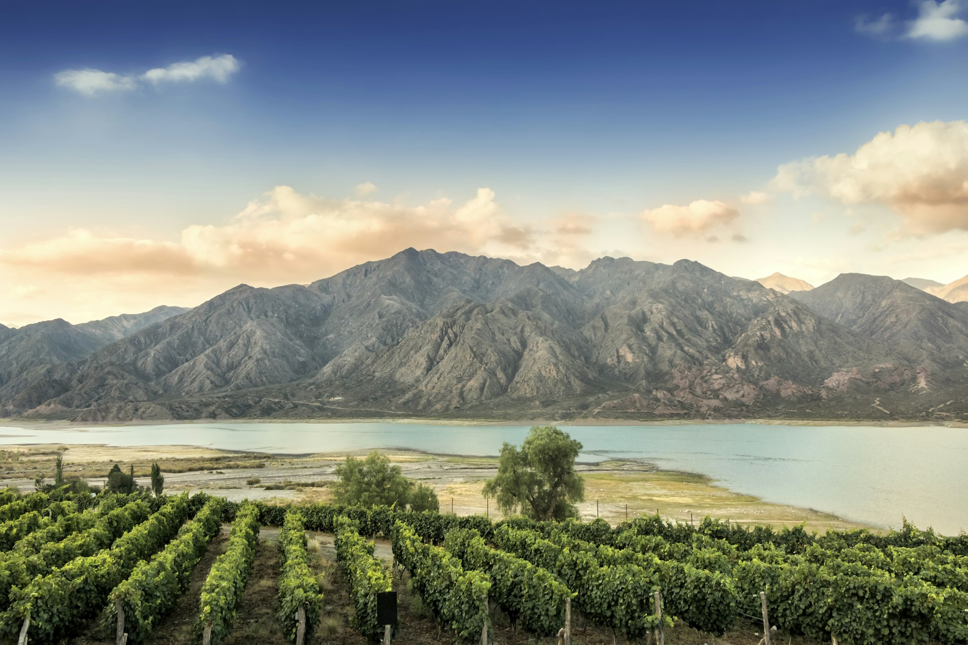 A vineyard in Mendoza, Argentina stretches out with a river and rugged mountain range in the background.