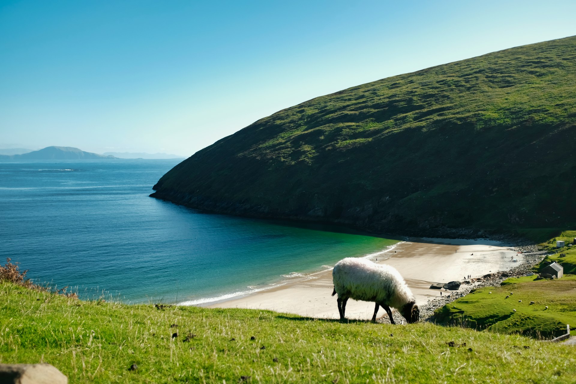 Keem Beach (Bay) Landscape view, Keem, Achill Island, Co Mayo, Ireland with a sheep in the foreground