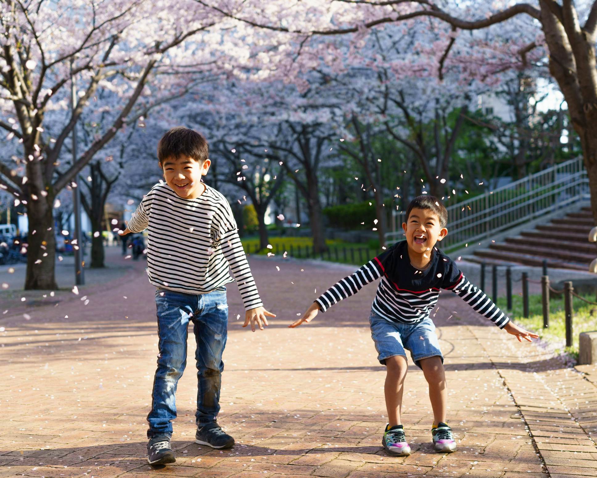 Boys playing in falling blossom in a park and laughing