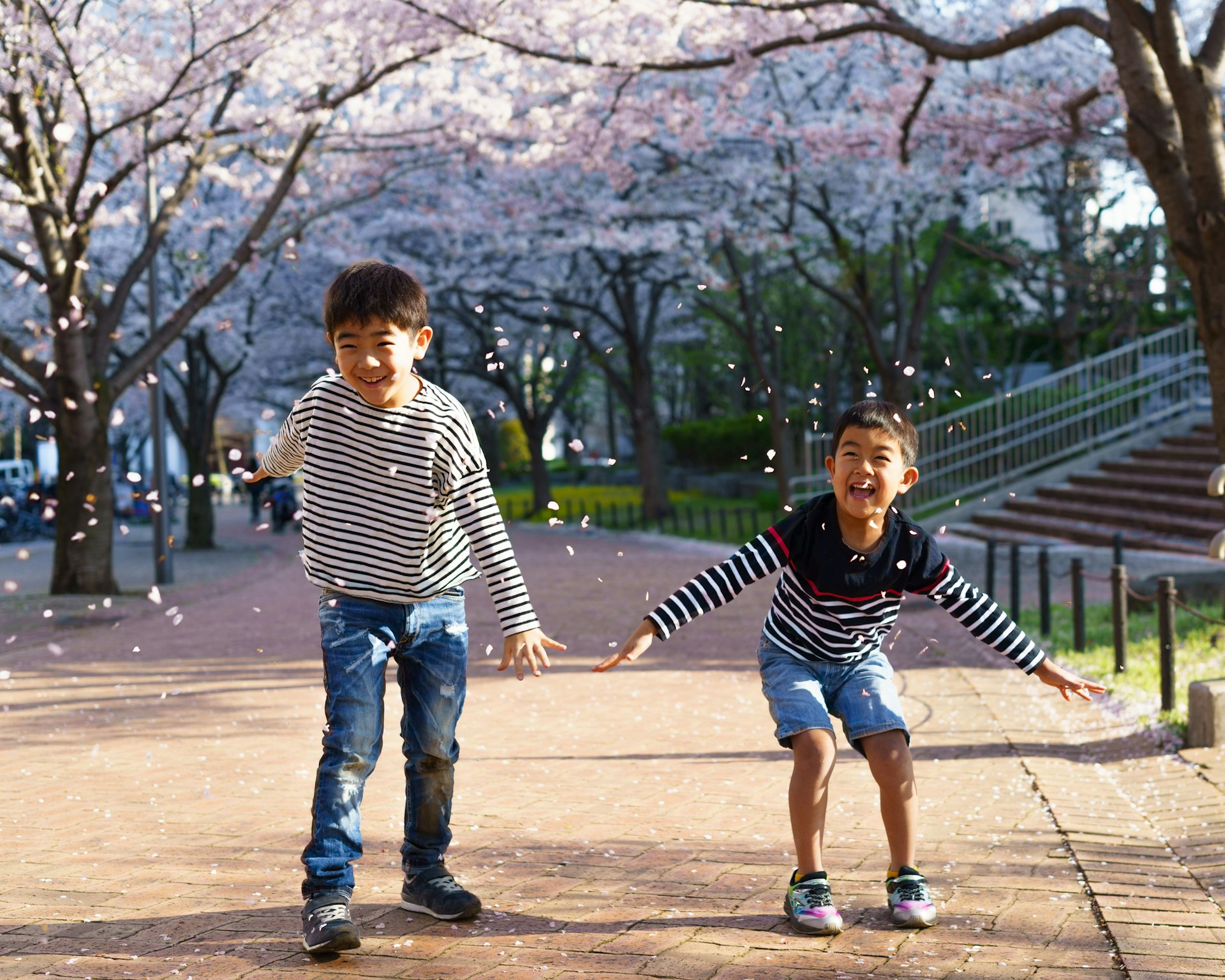 Boys playing in falling blossom in a park and laughing