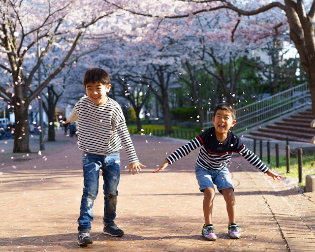 Boys playing in falling blossom in a park and laughing