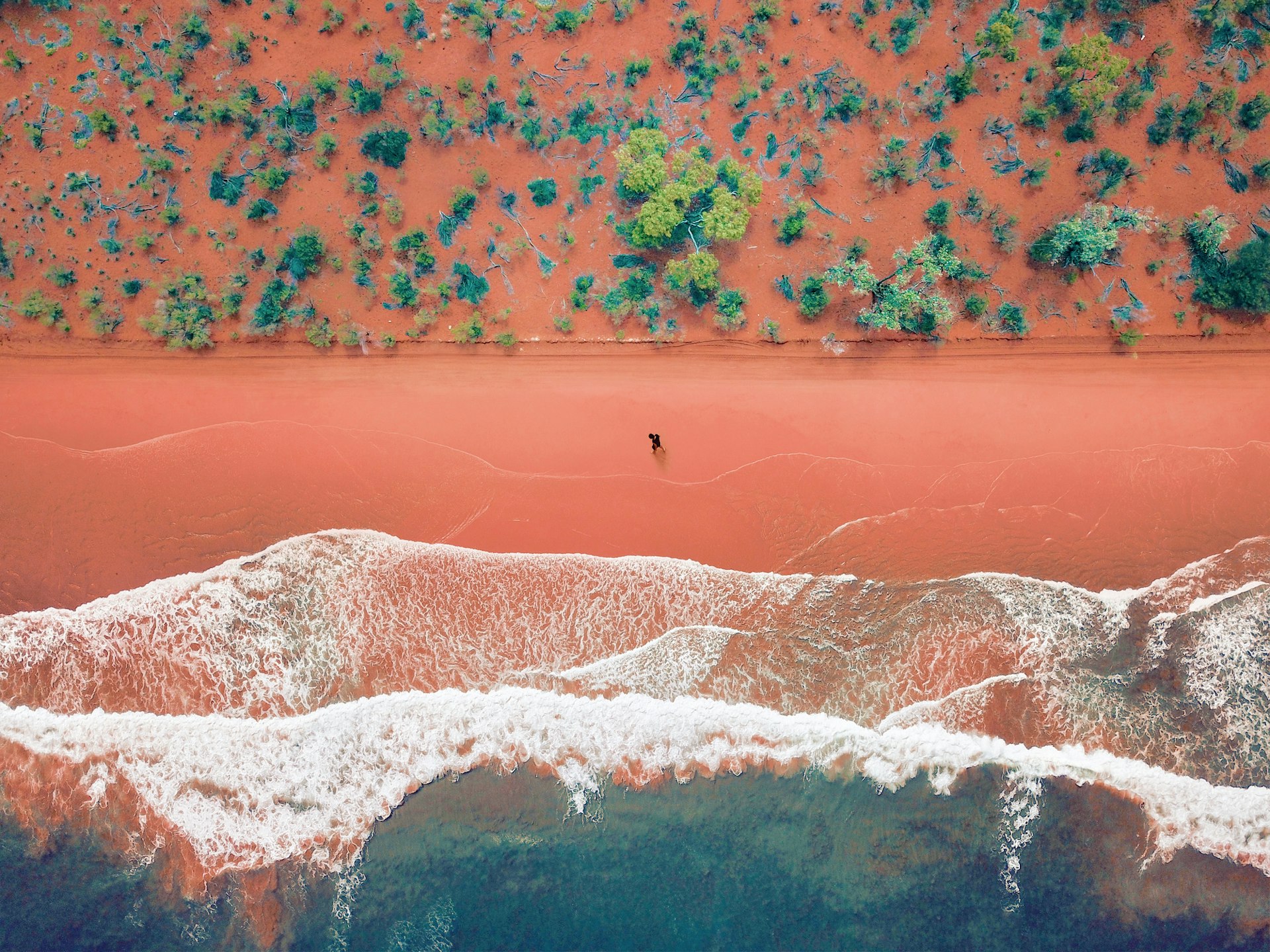 High angle view of a vibrant coloured red sandy beach in Western Australia with a lone hiker walking along it