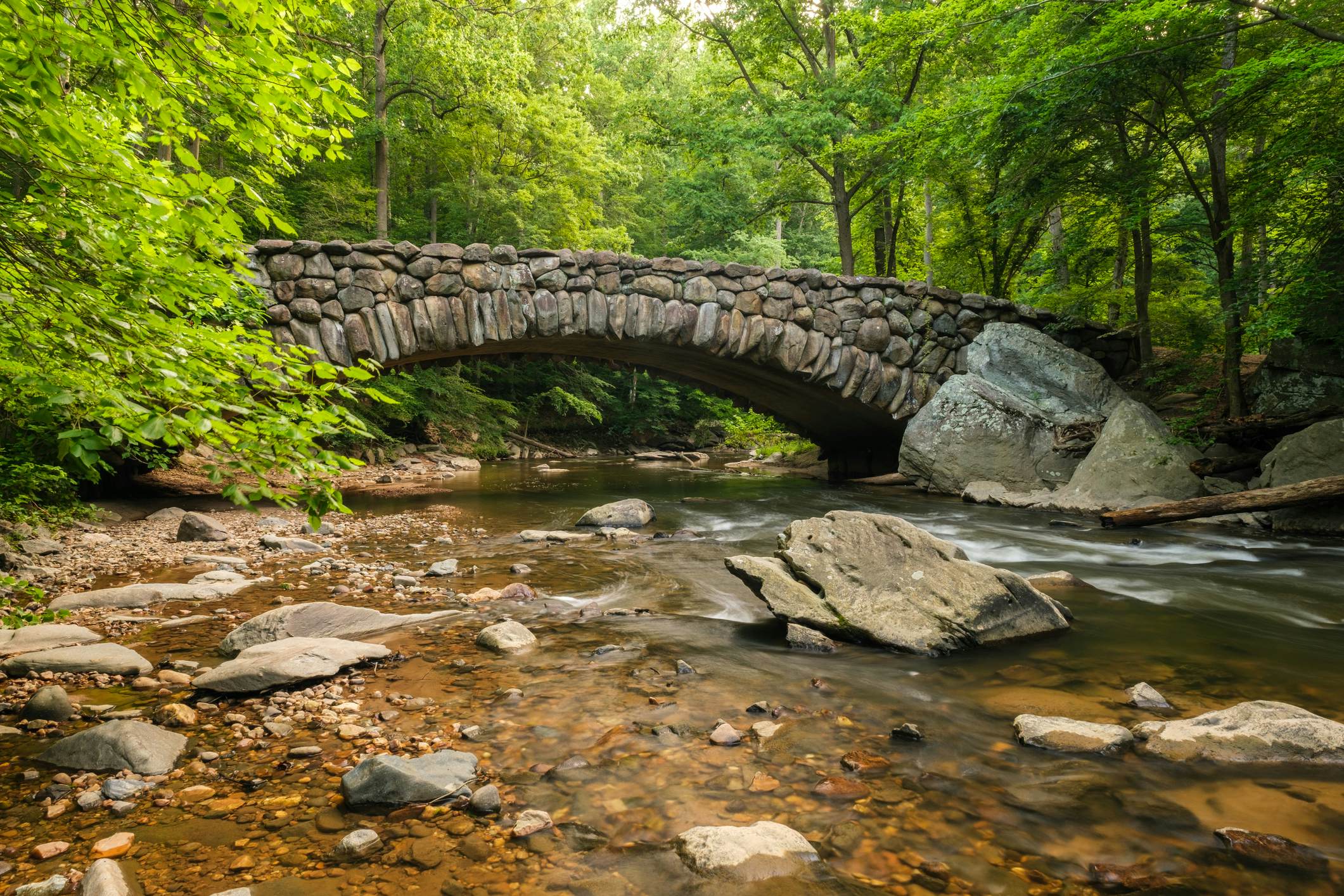 An early spring morning at Boulder Bridge and Rock Creek in Rock Creek Park, Washington, D.C.
1300538443