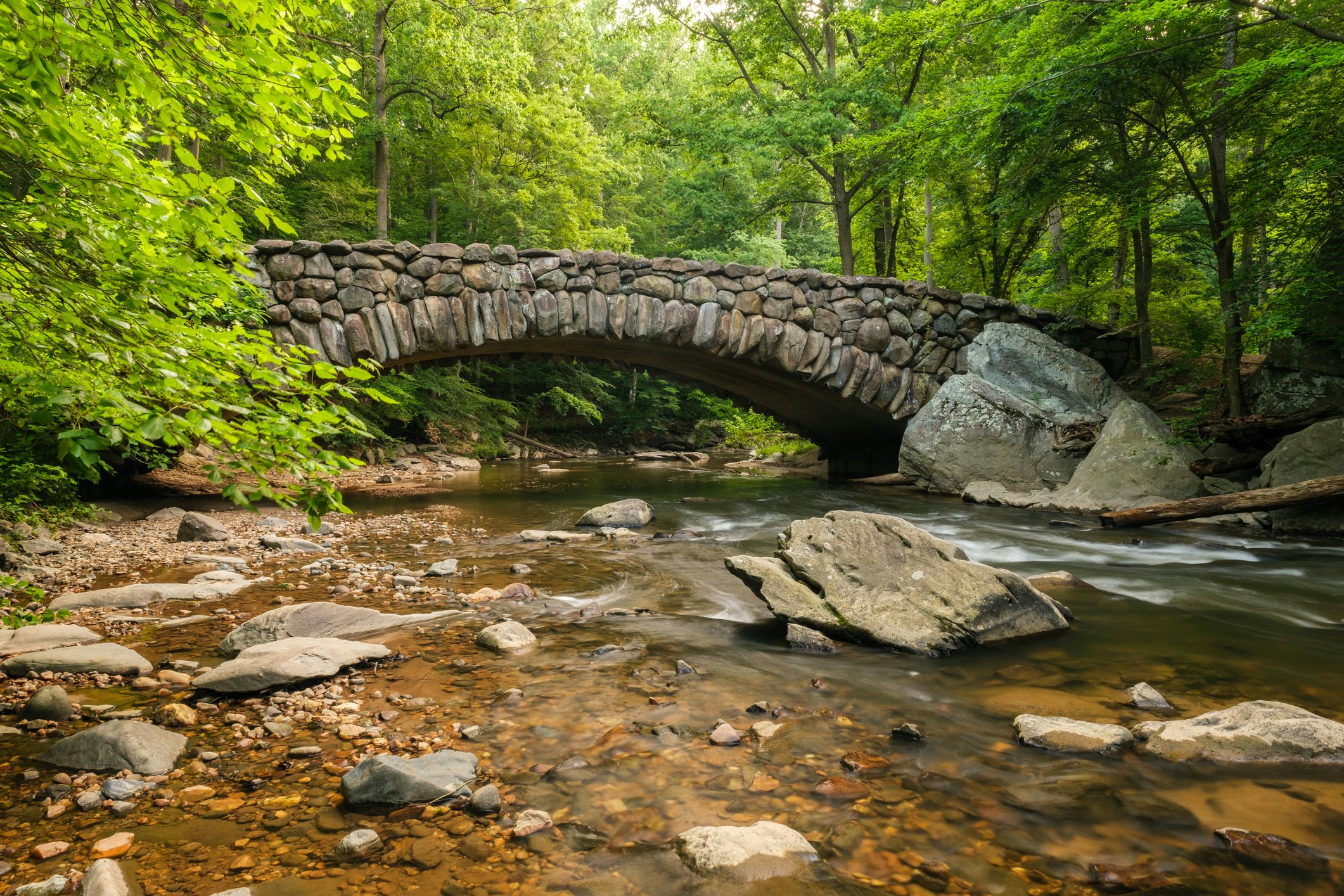 An early spring morning at Boulder Bridge and Rock Creek in Rock Creek Park, Washington, D.C.
1300538443