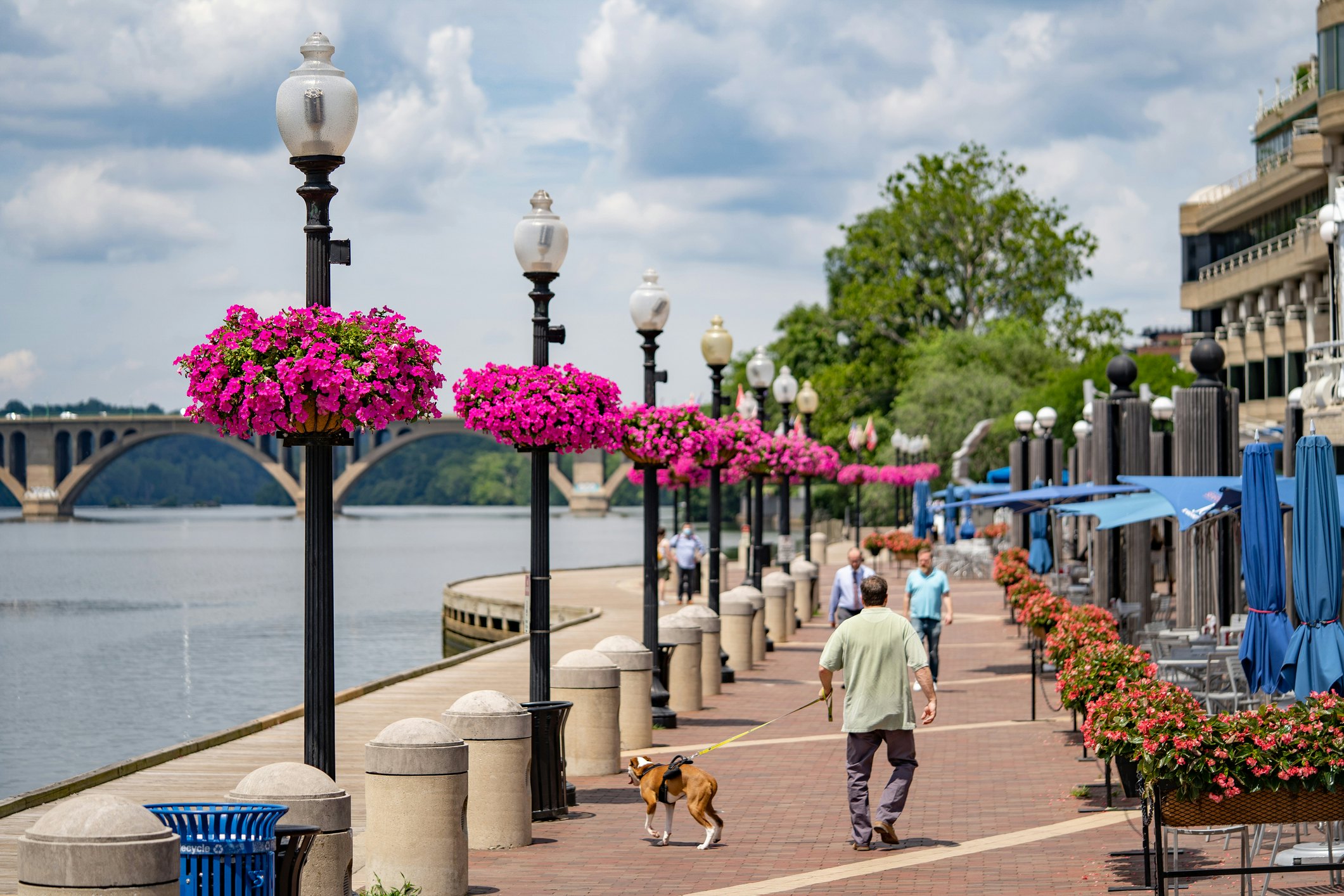 Washington, DC, USA - June, 10, 2021: Georgetown waterfront during the summer season.
1325970904
georgetown, washington, dc, urban, building, historic, capital, buildings, bridge, colorful, america, landscape, american, famous, states, scenery, scenic, potomac, united, skyline, view, columbia, scene, us, historical, clouds, destination, united states, park