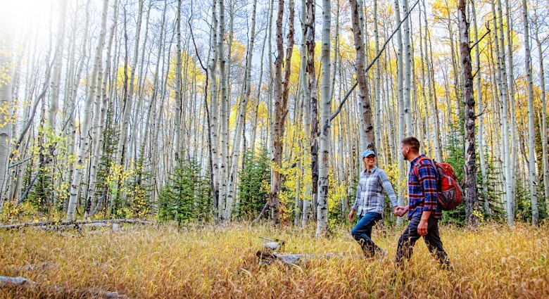 Young Couple Hiking in Aspen Trees in Colorado
1369643662
