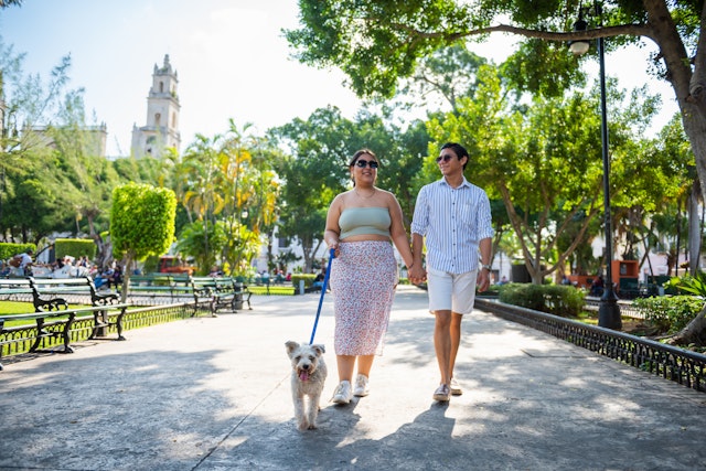 A young couple walk their dog near some colonial buildings in Merida, Mexico whilst holding hands