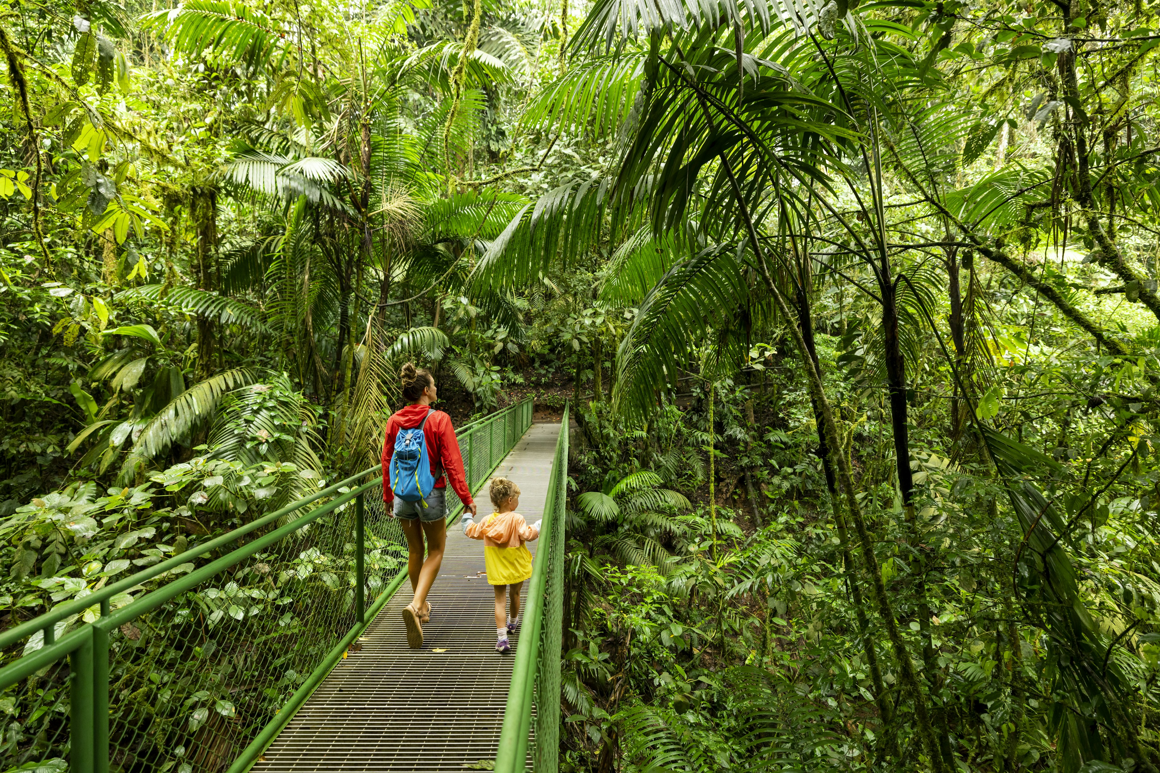 Costa Rica rainforest