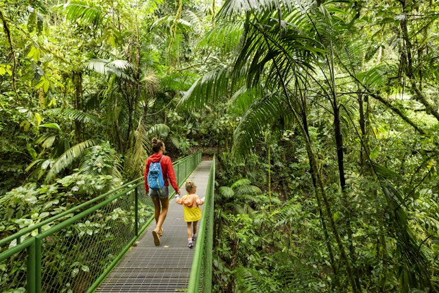 Costa Rica rainforest