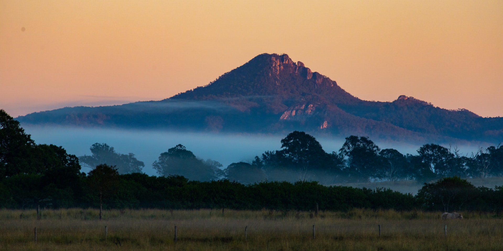 A sunrise photo of Mount Barney rising above the mist