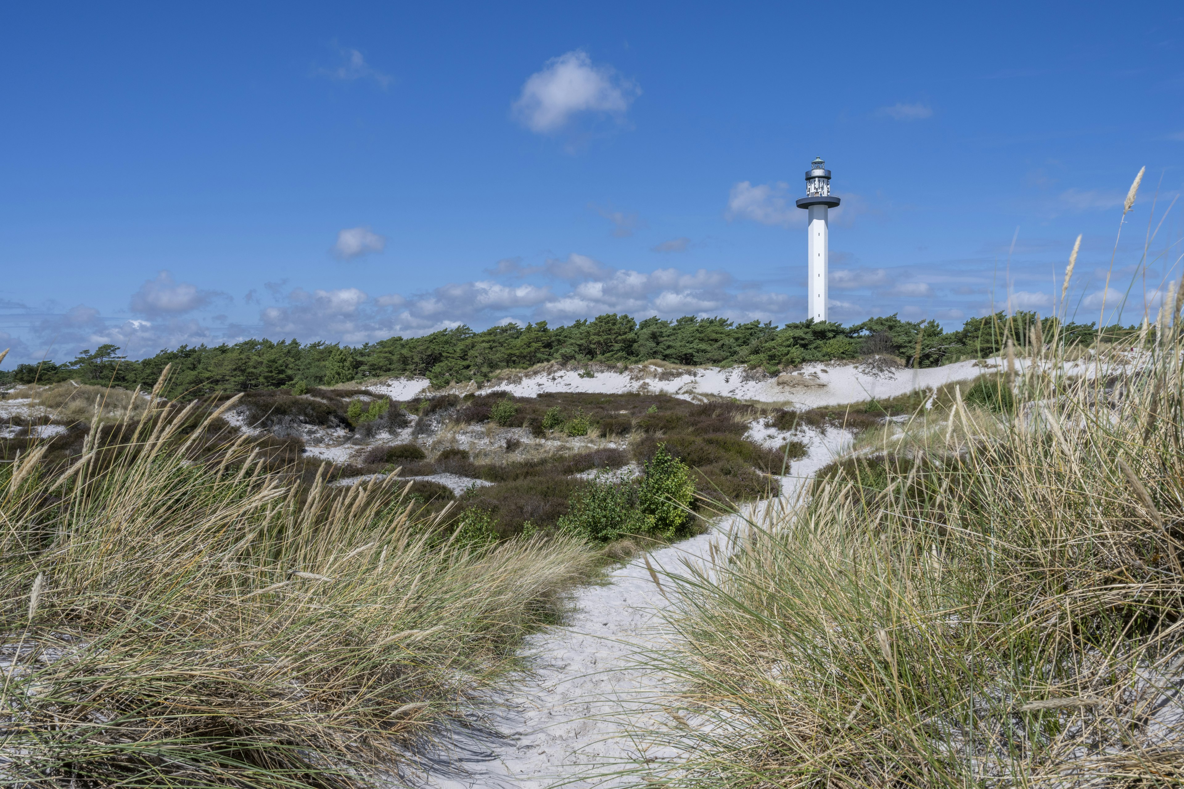 Beach in front of Dueodde Fyr lighthouse