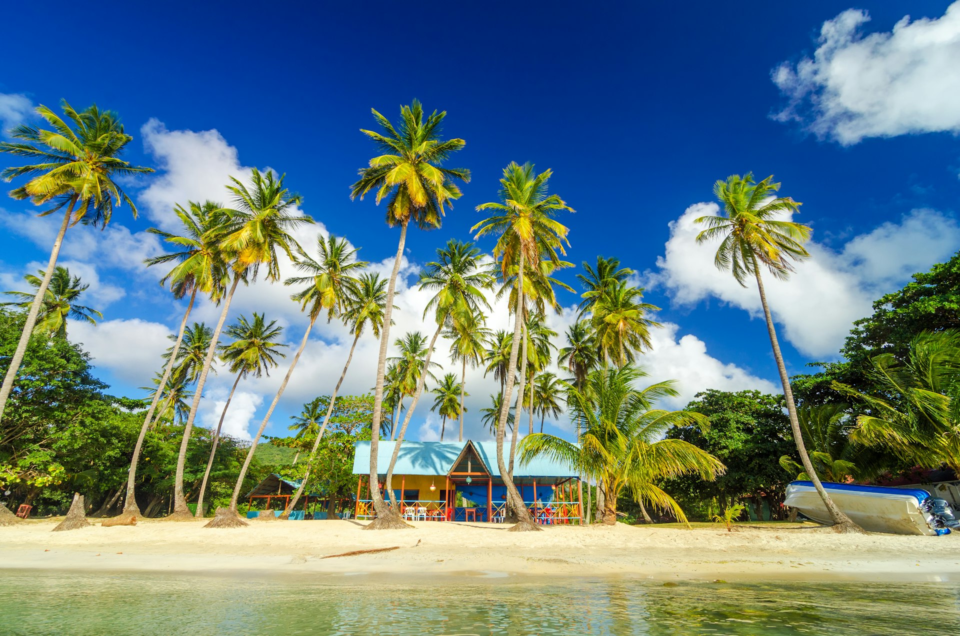 A tropical beachfront with a cluster of tall palm trees under a sunny blue sky with fluffy clouds, overlooking colorful beach huts and a tranquil sea.