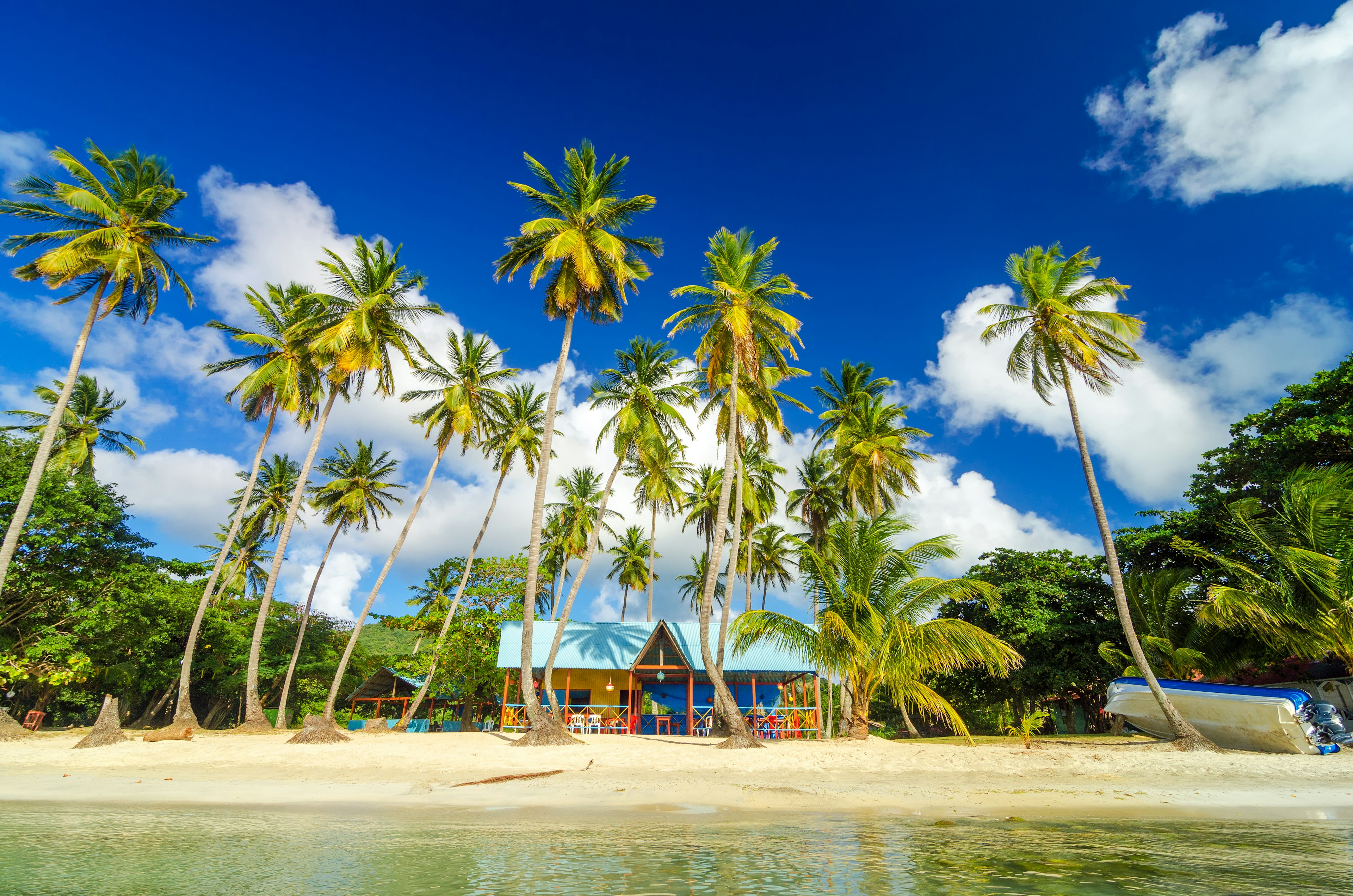 A tropical beachfront with a cluster of tall palm trees under a sunny blue sky with fluffy clouds, overlooking colorful beach huts and a tranquil sea.