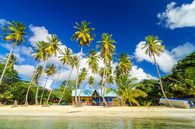 A tropical beachfront with a cluster of tall palm trees under a sunny blue sky with fluffy clouds, overlooking colorful beach huts and a tranquil sea.